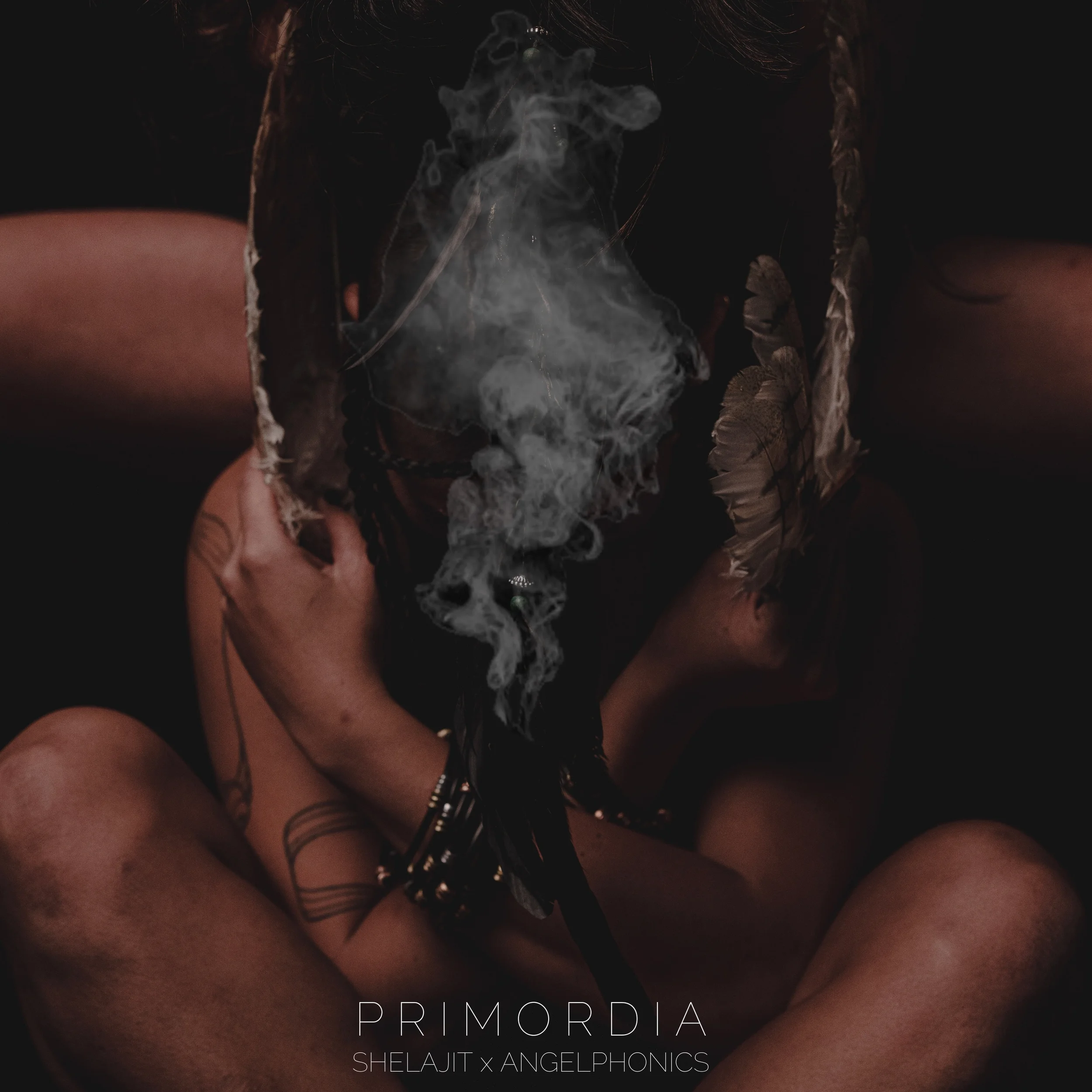 shelajit-primordia-nectar.webp