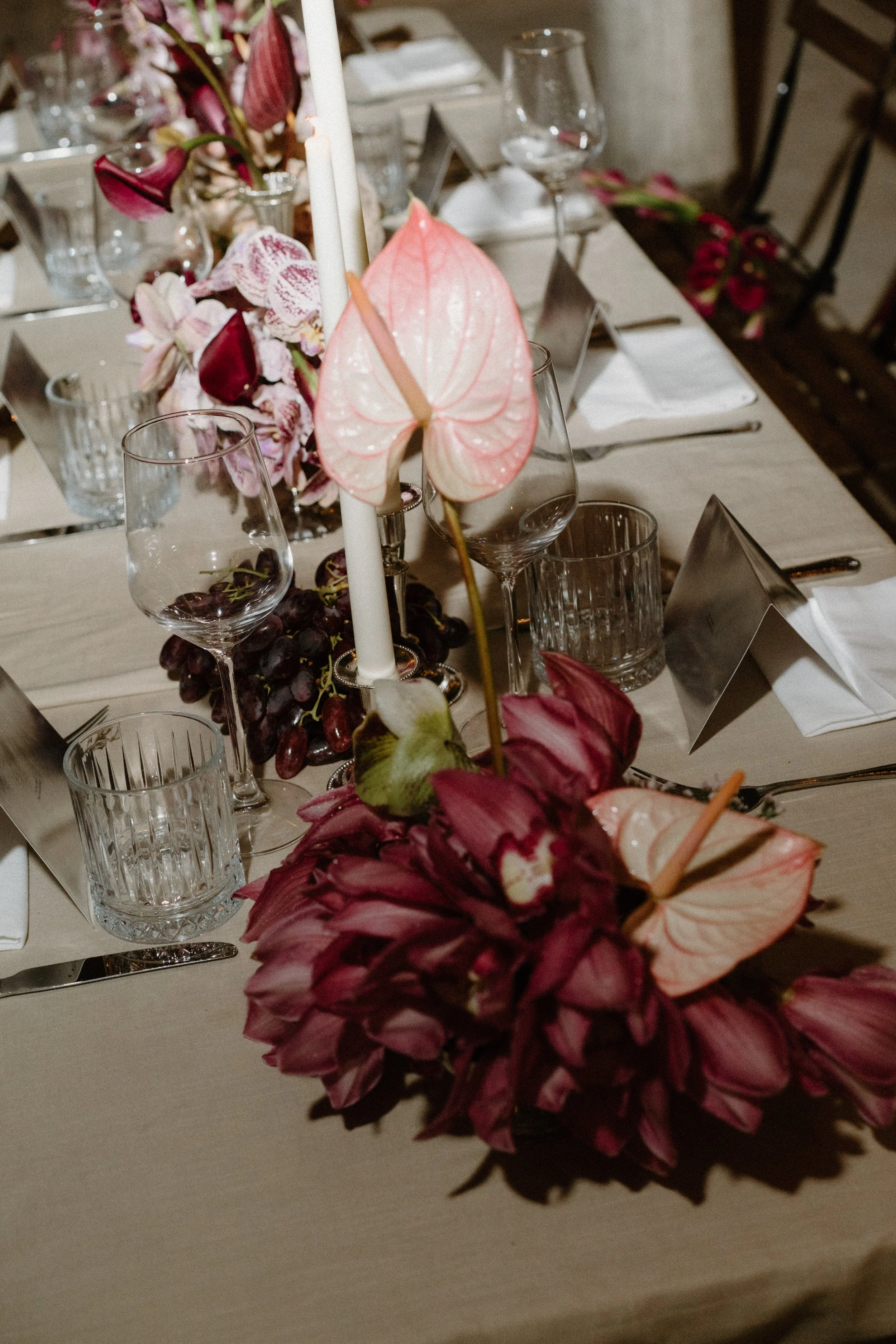 n&mbyAlyssaWashingtonPhotography-408.jpg