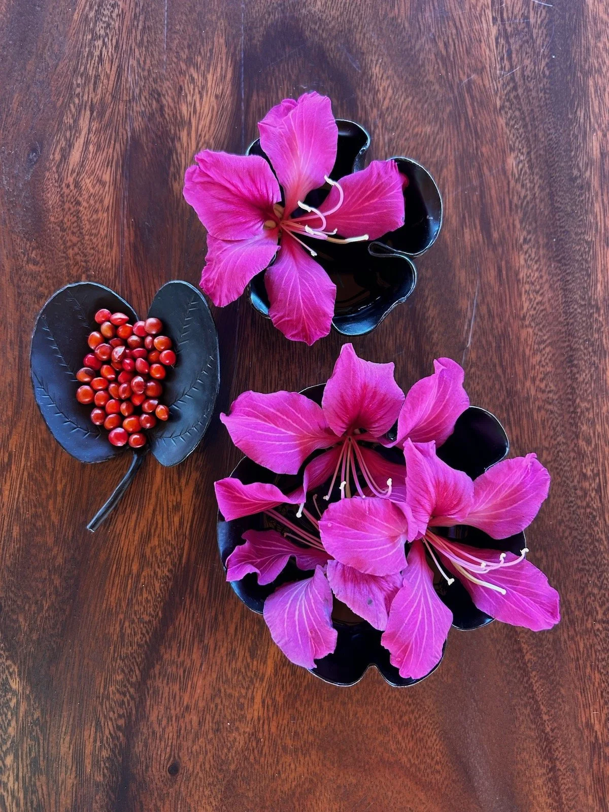 Ayurveda Loka Flowers.JPG