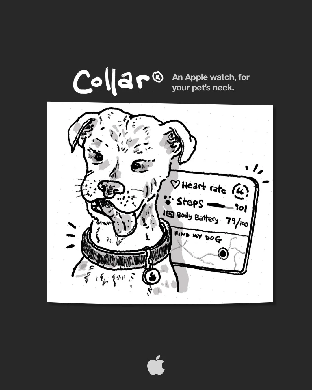 Apple2.jpg