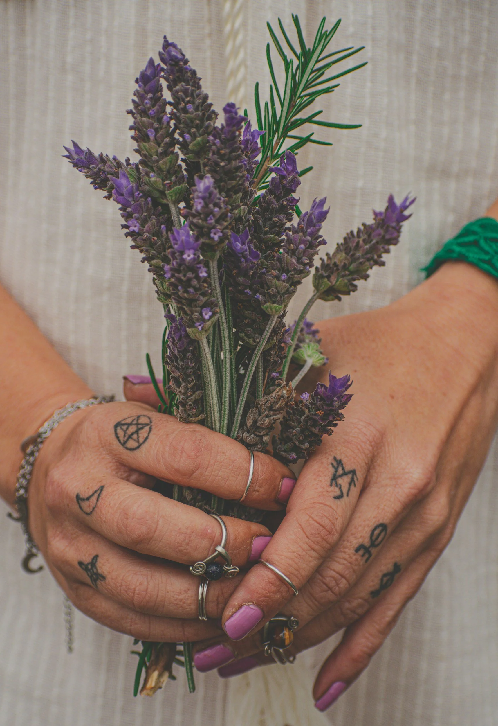 hands holding bunch of purple lavender flowers.