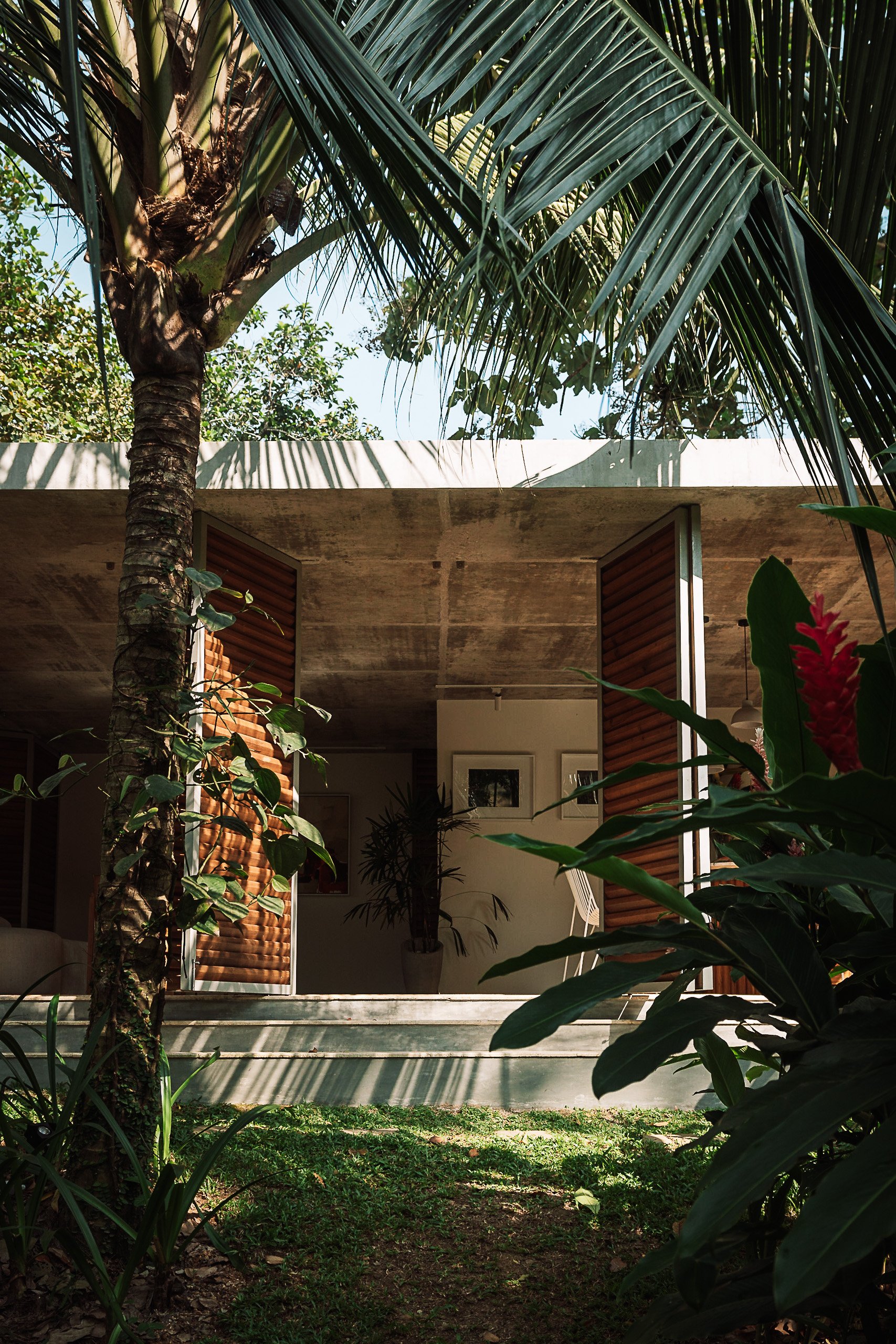 View of a modern house with open wooden louvered doors, surrounded by lush tropical plants and a large palm tree, with a green lawn and shaded area in the foreground.