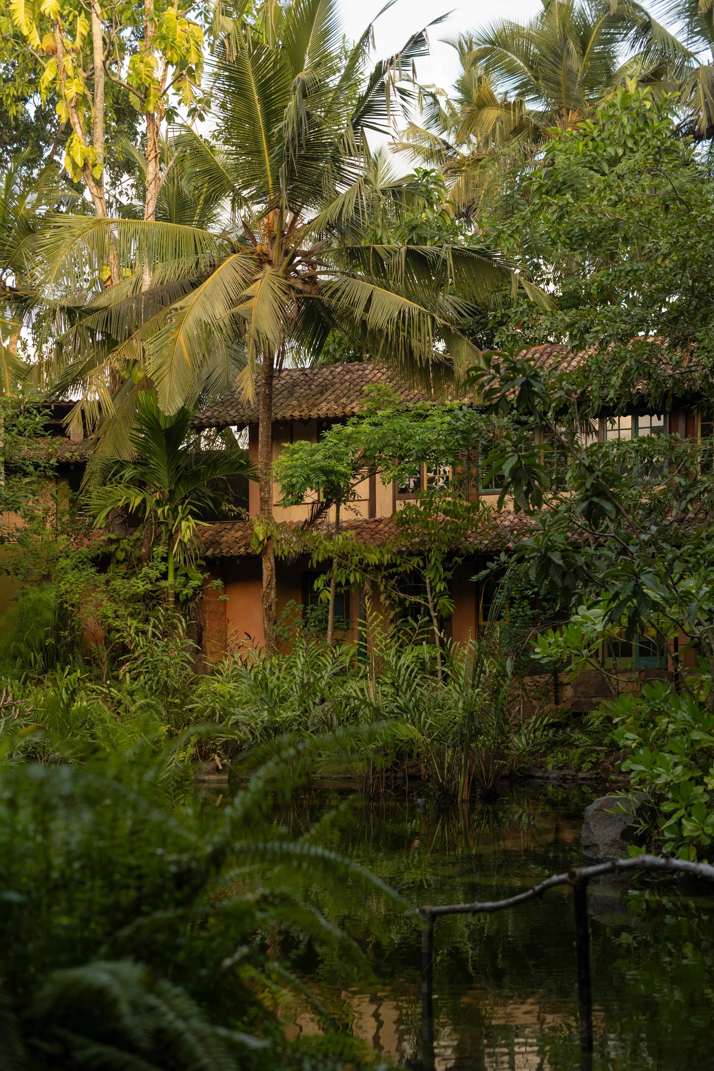 A tropical scene with lush greenery and tall palm trees surrounding a rustic, two-story building with a tiled roof, nearby a pond with plants and reflections.