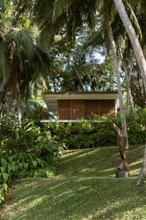 A tropical garden with lush greenery and tall palm trees, featuring a modern wooden house in the background.