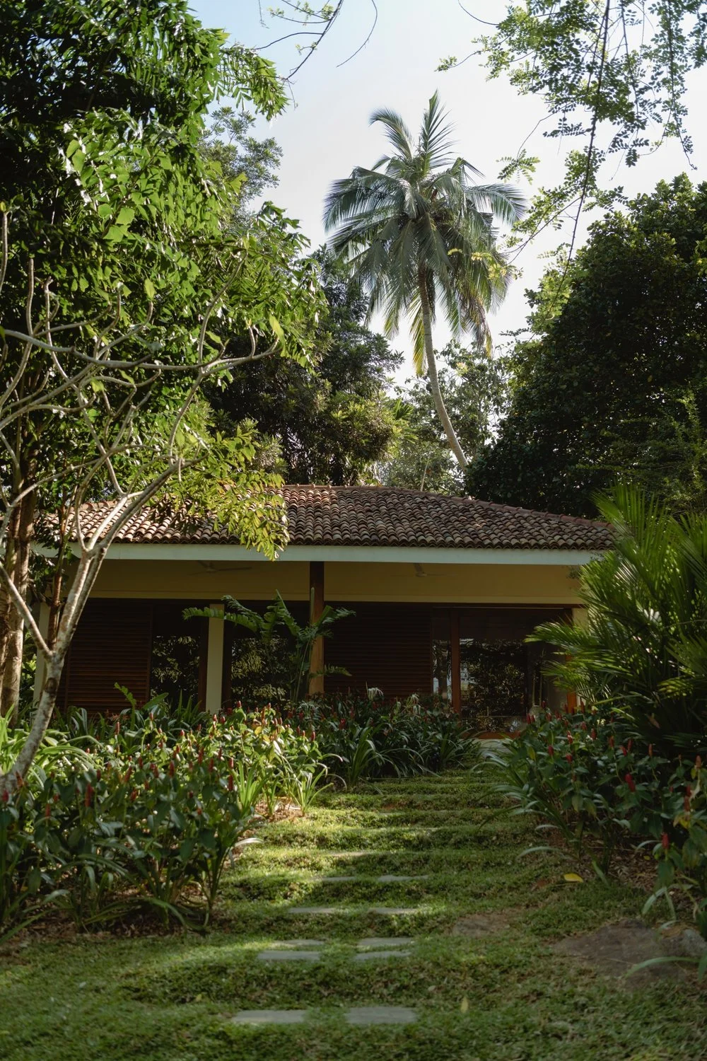 A pathway leading to a house surrounded by lush greenery and tall palm trees, with a tiled roof and large windows.