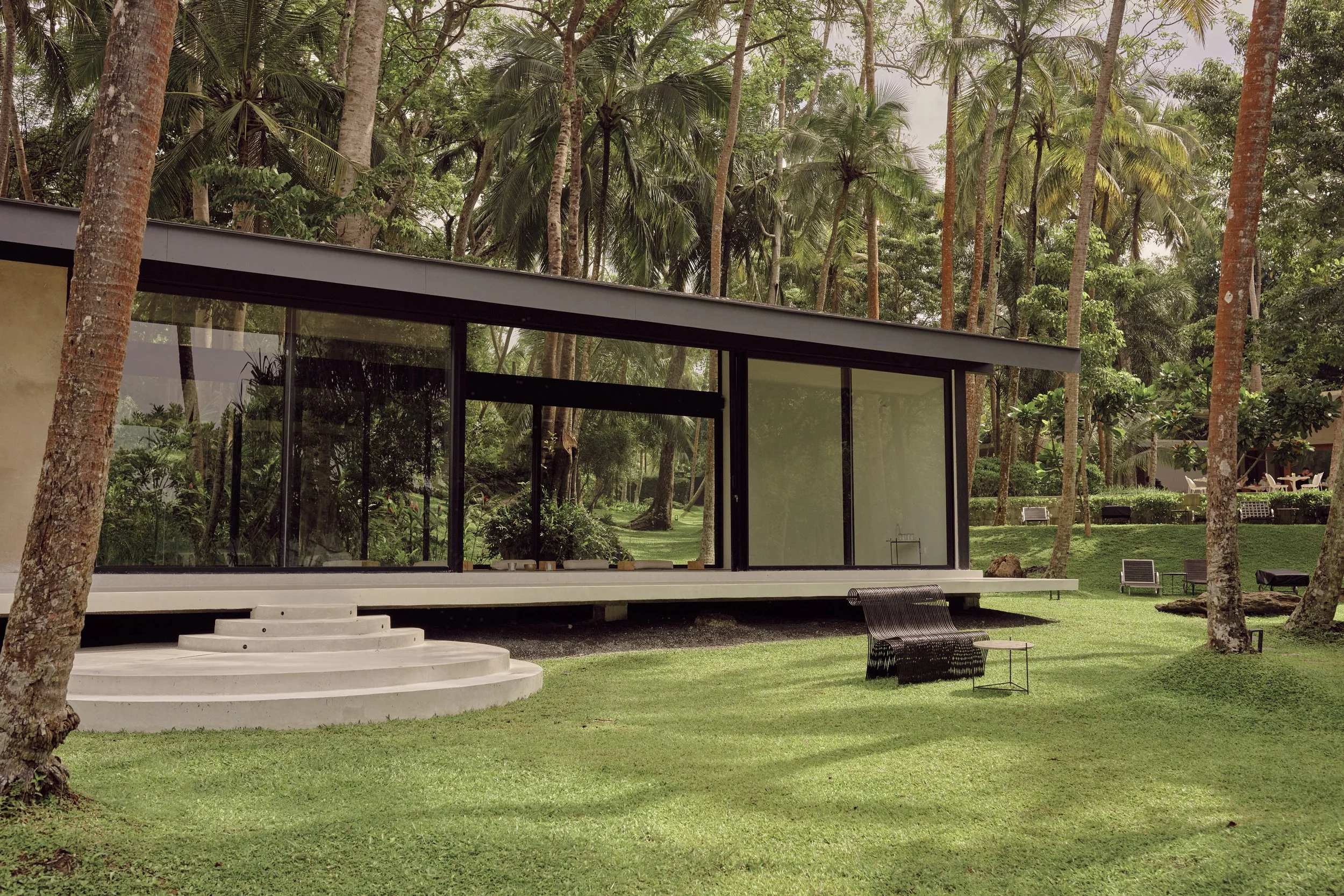 A modern house with glass walls is surrounded by numerous tall palm trees and other lush green trees, with a well-maintained lawn and outdoor seating area.