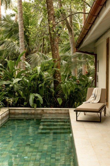 A backyard with a small swimming pool, surrounded by lush tropical plants and tall trees. There is a reclining lounge chair with a towel on it next to the pool, against a beige wall of a house with a brown roof.