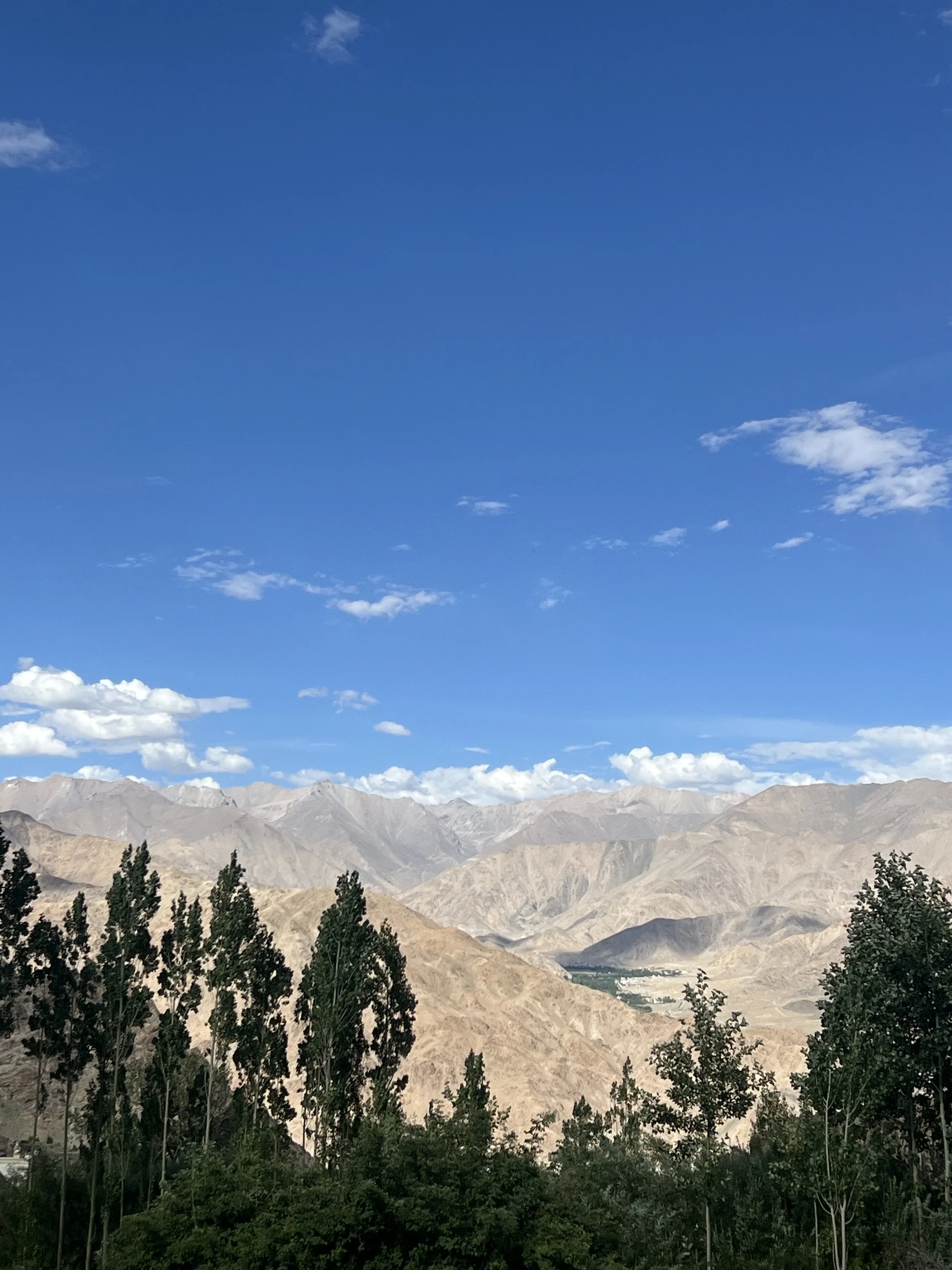 IMG_5540.jpeg