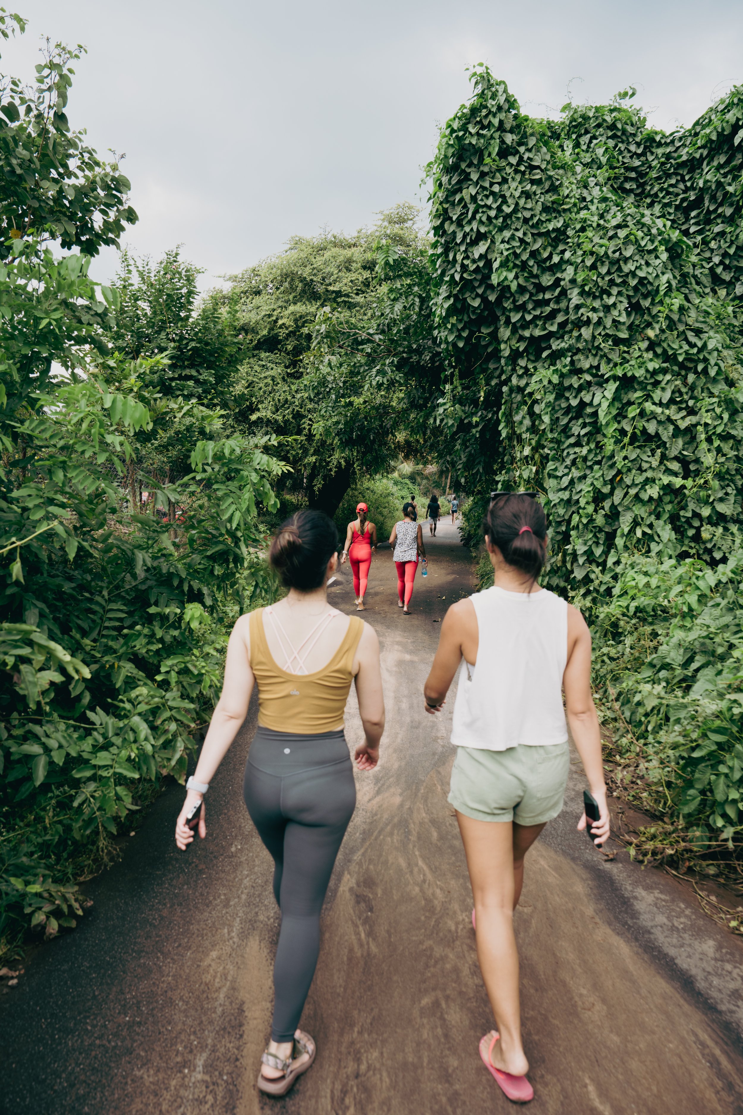 Group of women walking on a dirt path surrounded by lush green trees and foliage during the daytime.