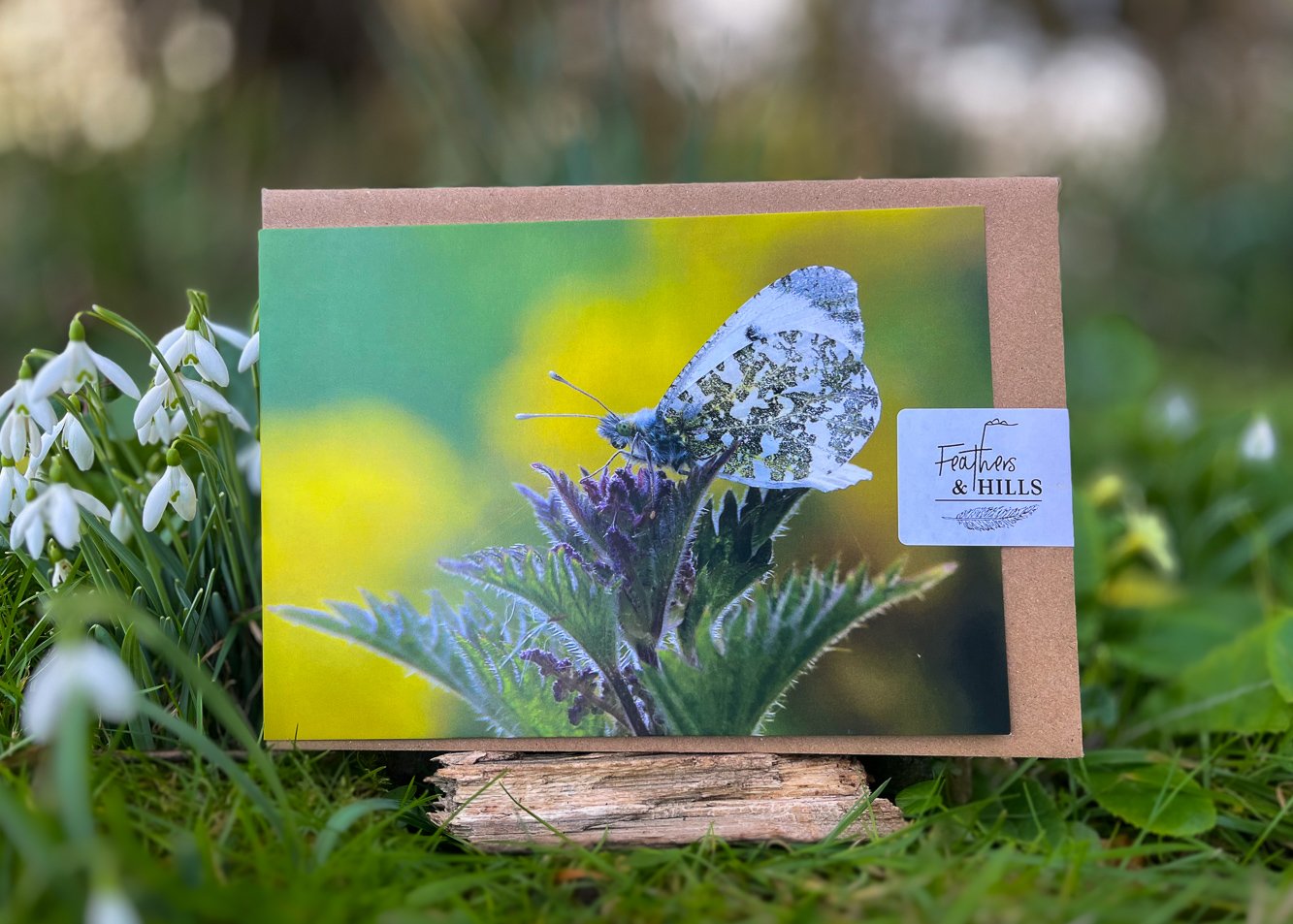Butterfly amongst the buttercups