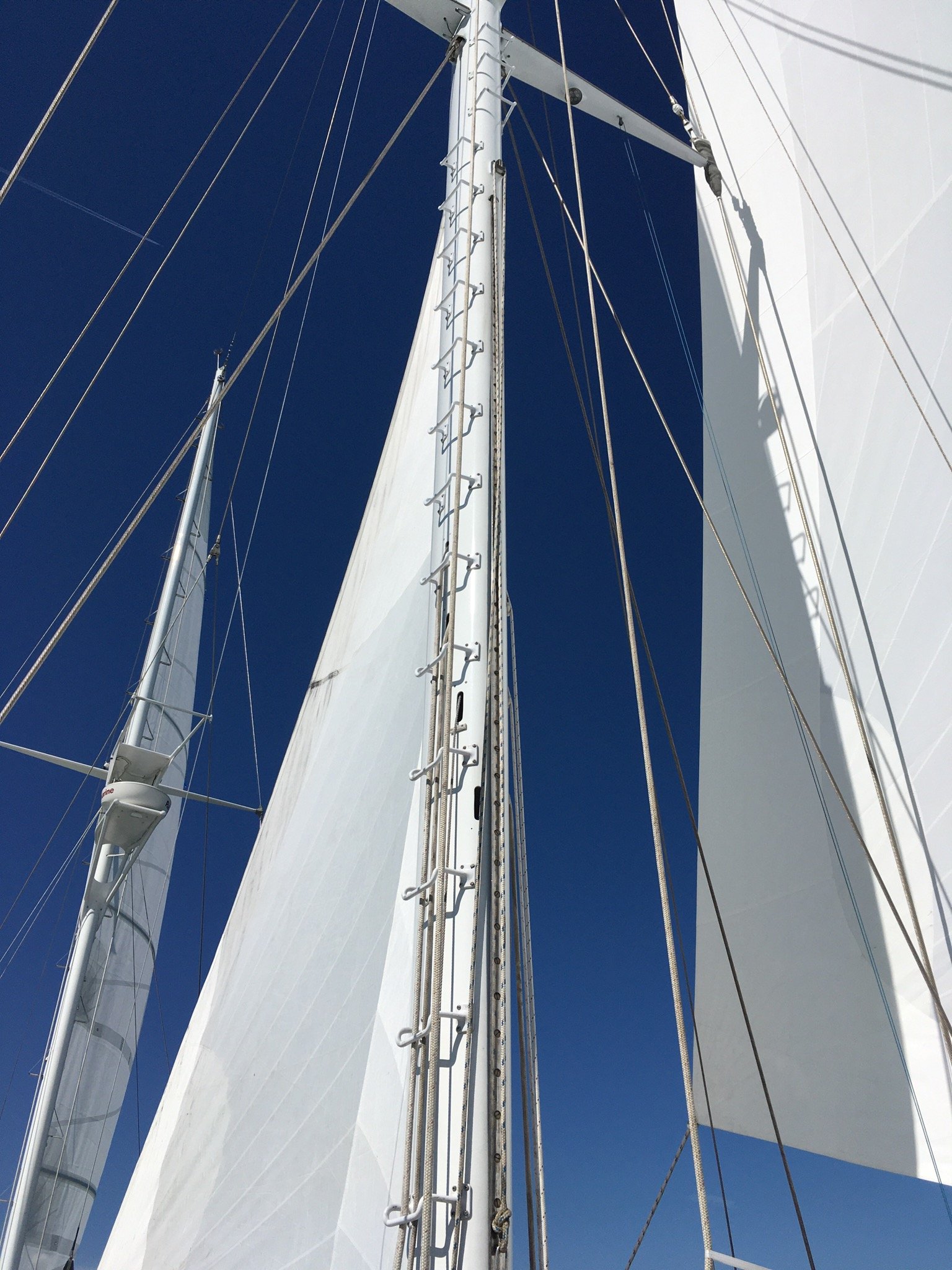 Blue skies and crisp sails