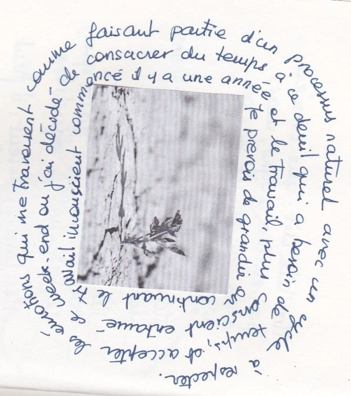 ECRITURE et image2.jpeg