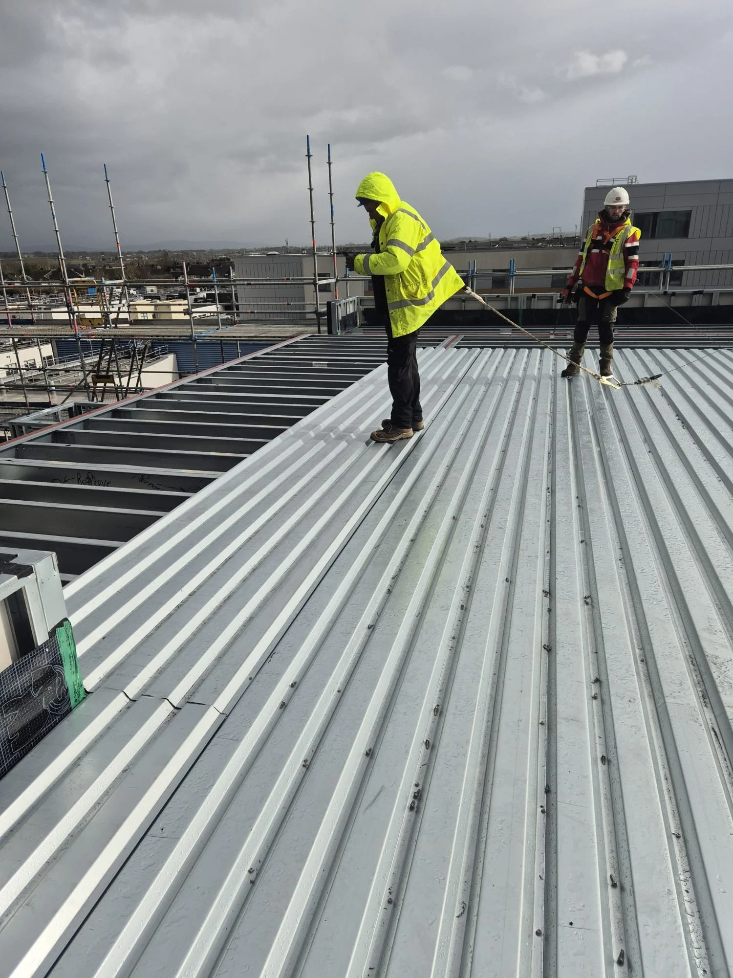 WhatsApp Image 2026-03-23 at 12.06.47 (1).jpeg