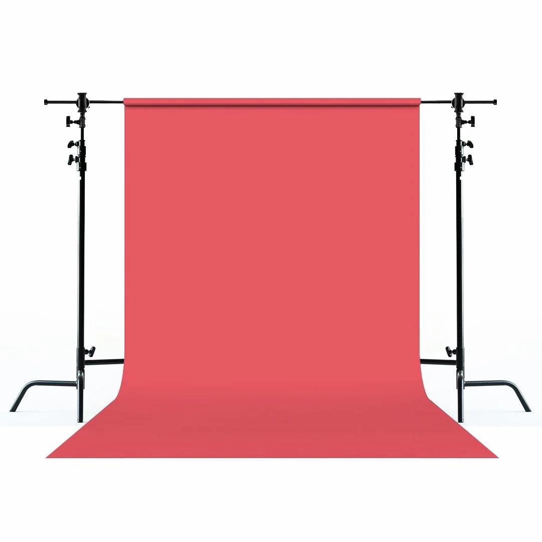 Flamingo.jpg