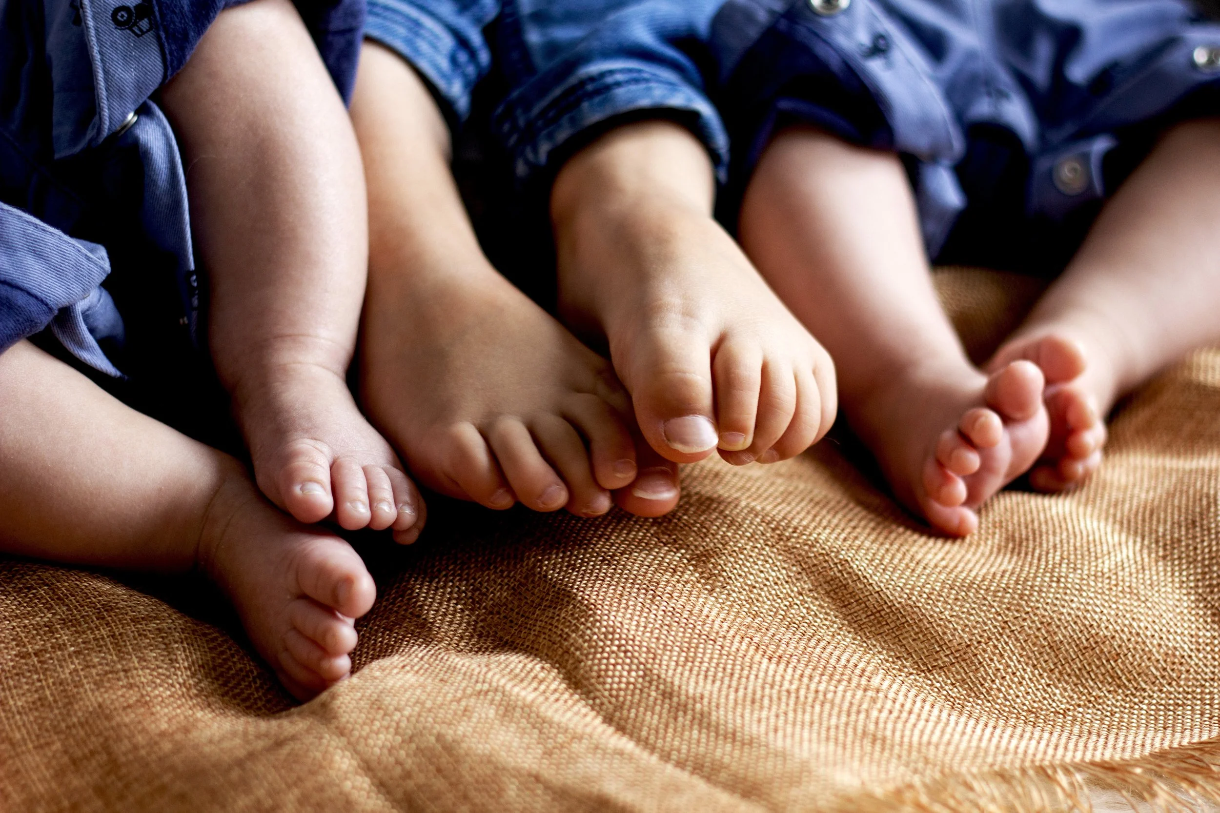 FamilyGreen_20231126 (22) copy.jpg