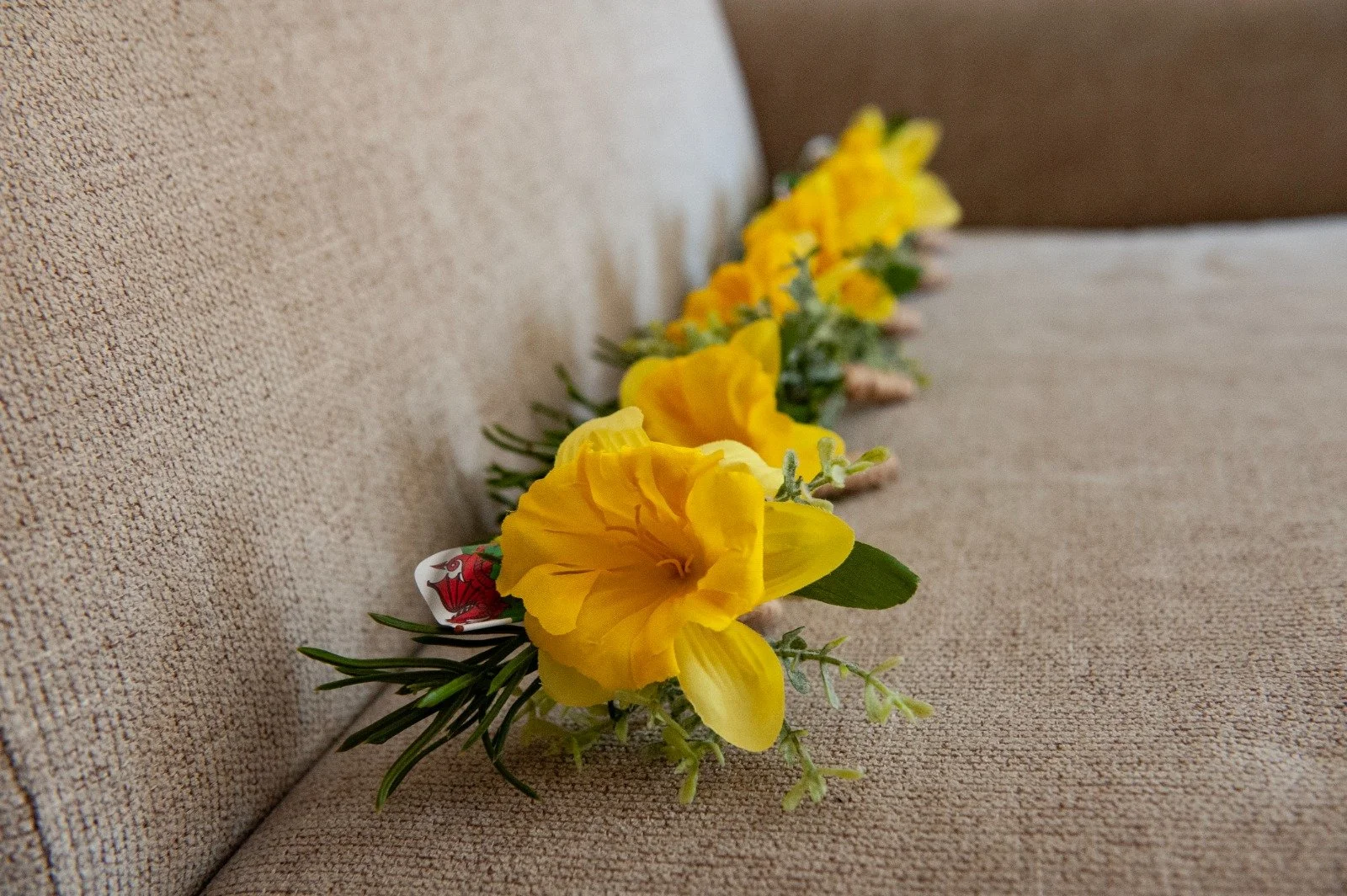 WhatsApp Image 2025-09-24 at 21.17.01.jpeg