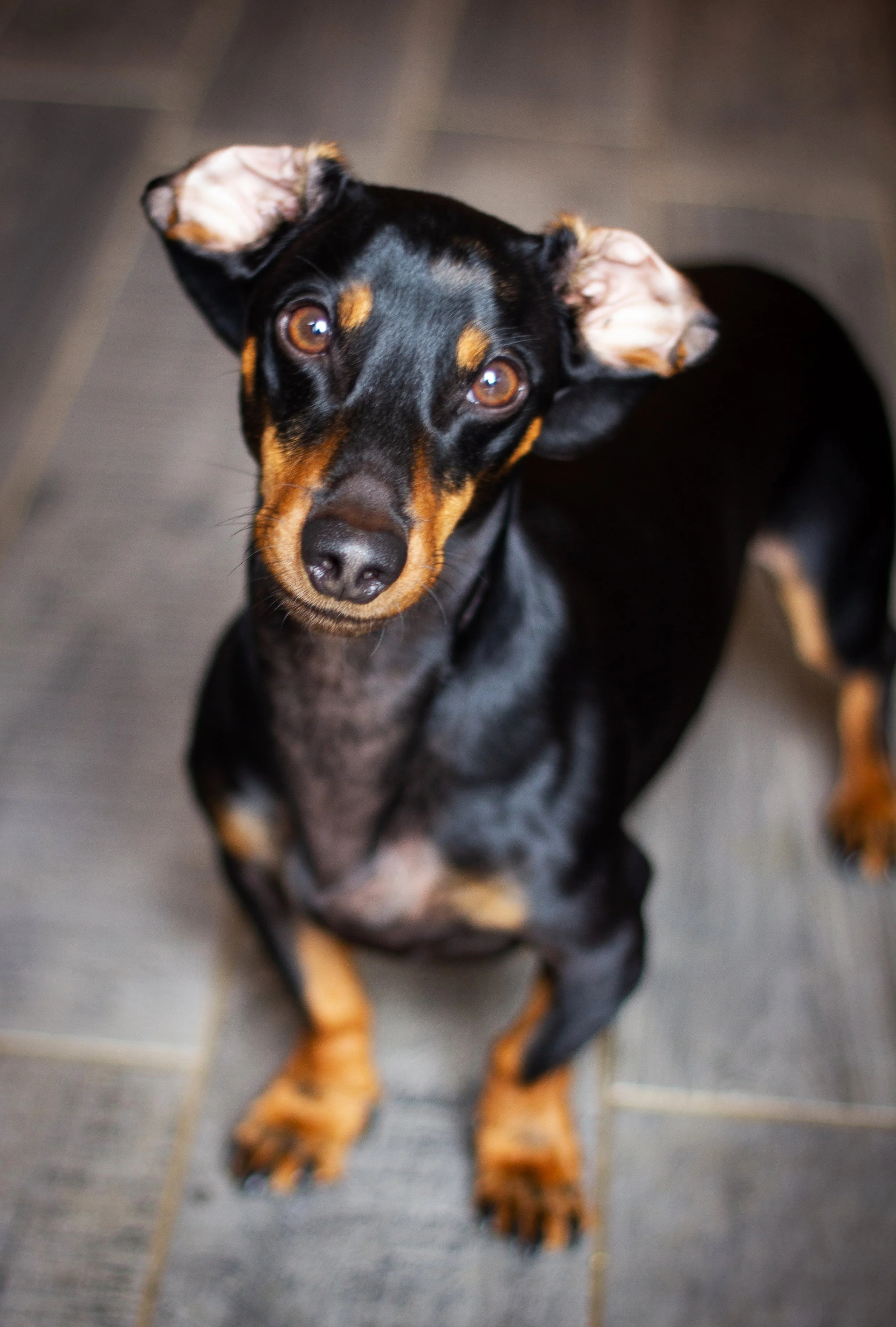 IMG_4304 copy2 copy.jpg