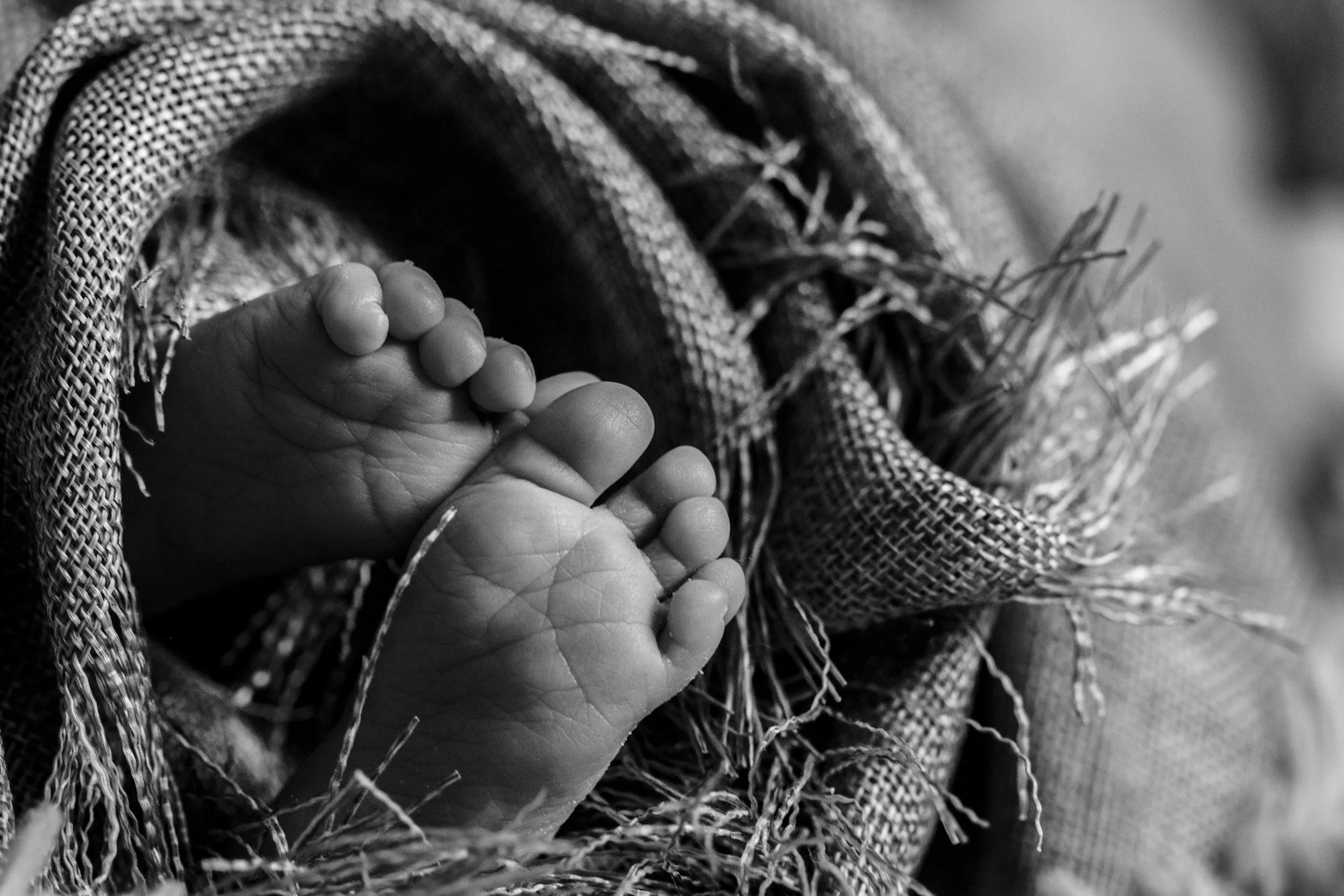 AprilMillieSeaton_20190118 (15) copy.jpg