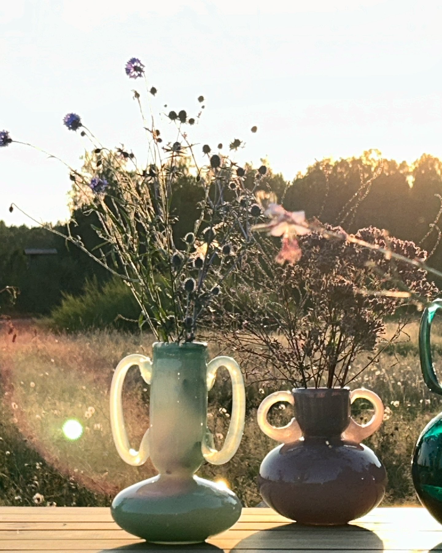 Late summer in Poland 🫶🏻

Vases available at oogobjects.com