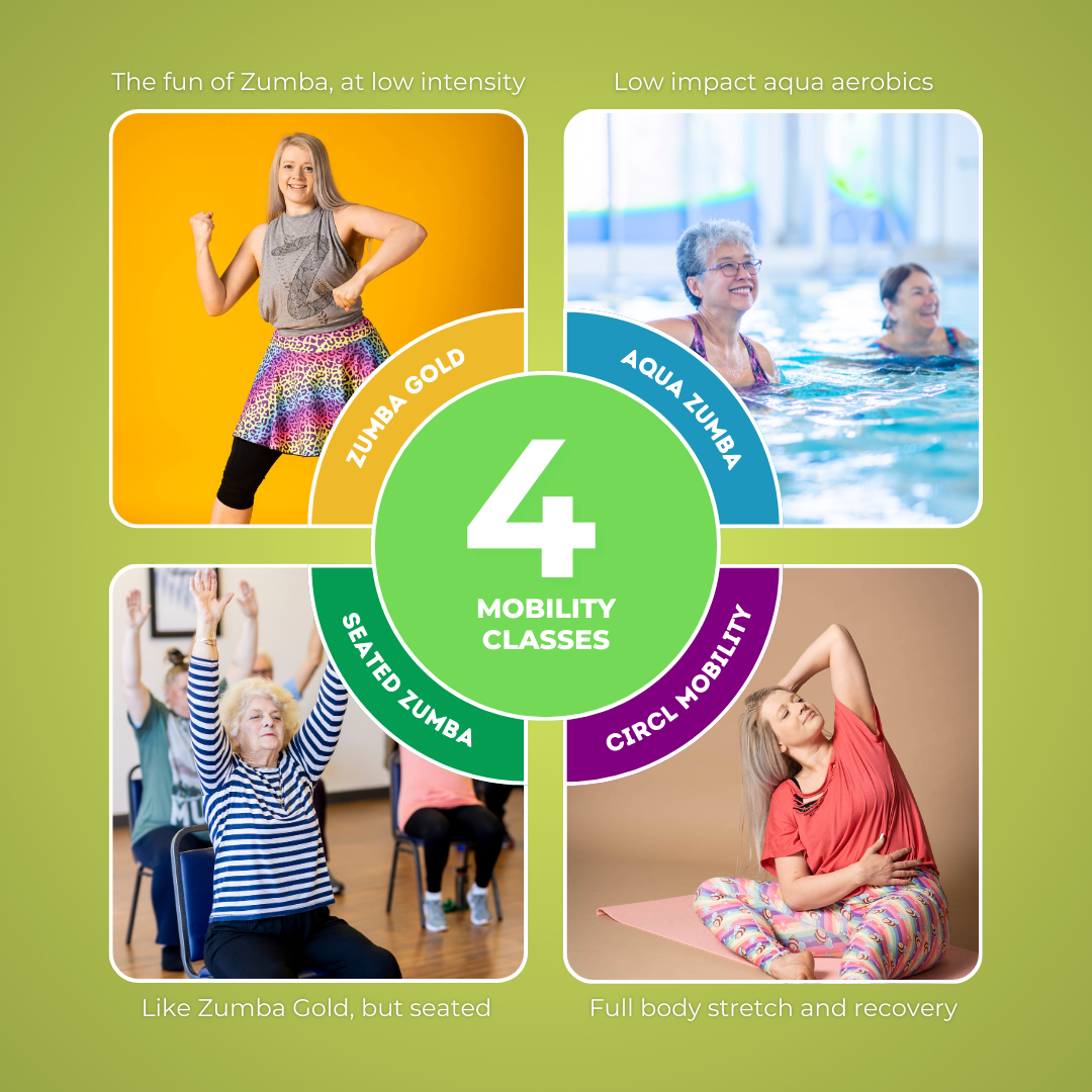 Fit Less Humans Inclusive Fitness Classes for the Less Mobile — Chloe's Dance Fitness ...