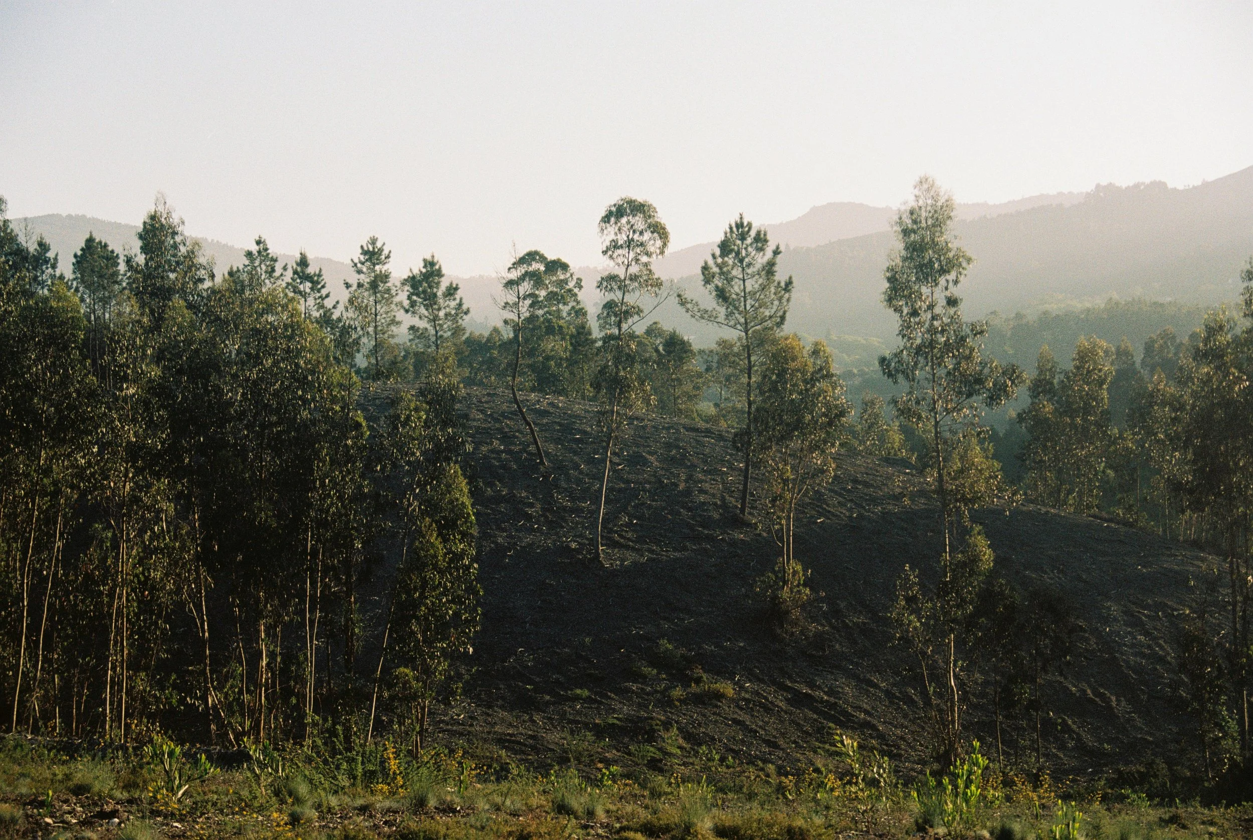 Kristina Malinskaya-36 2.JPG