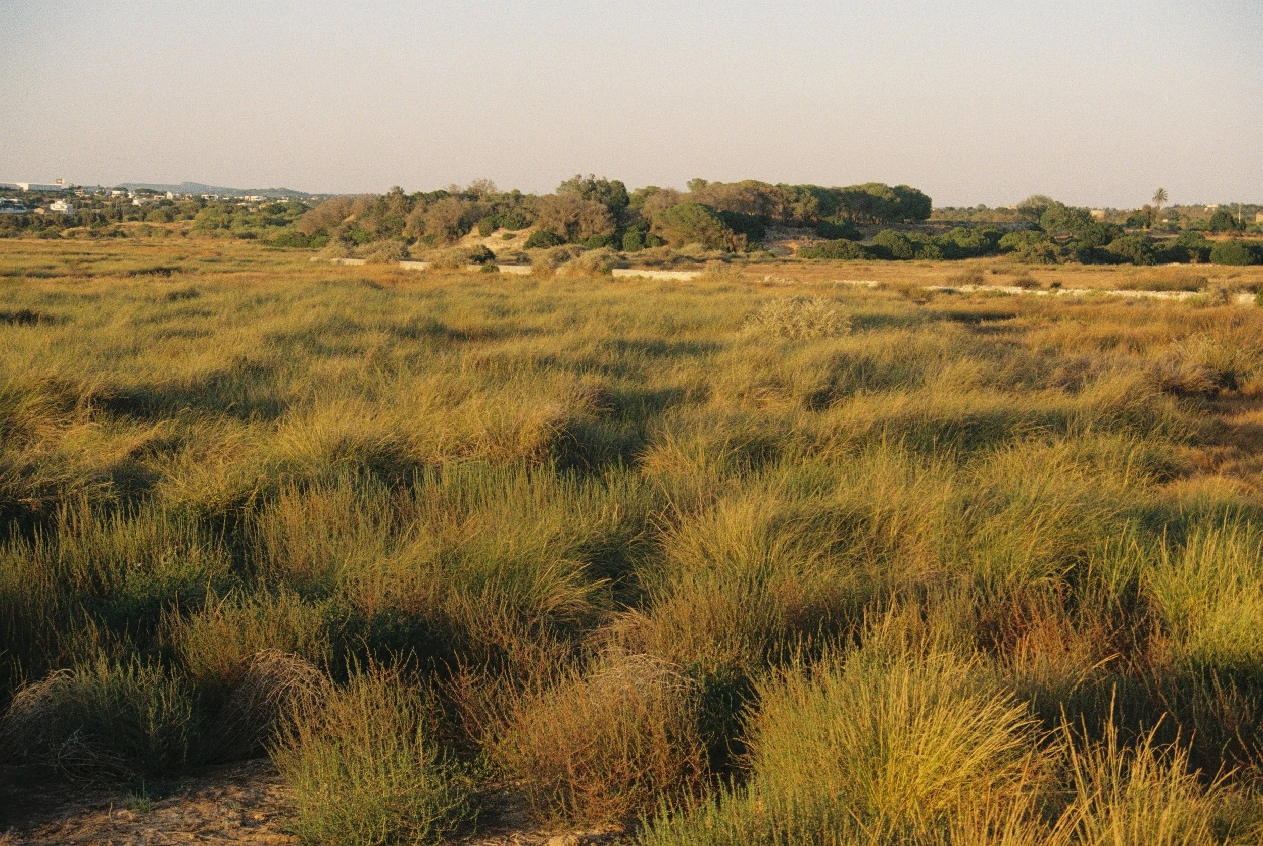 Krystina Malinskaya-12.JPEG