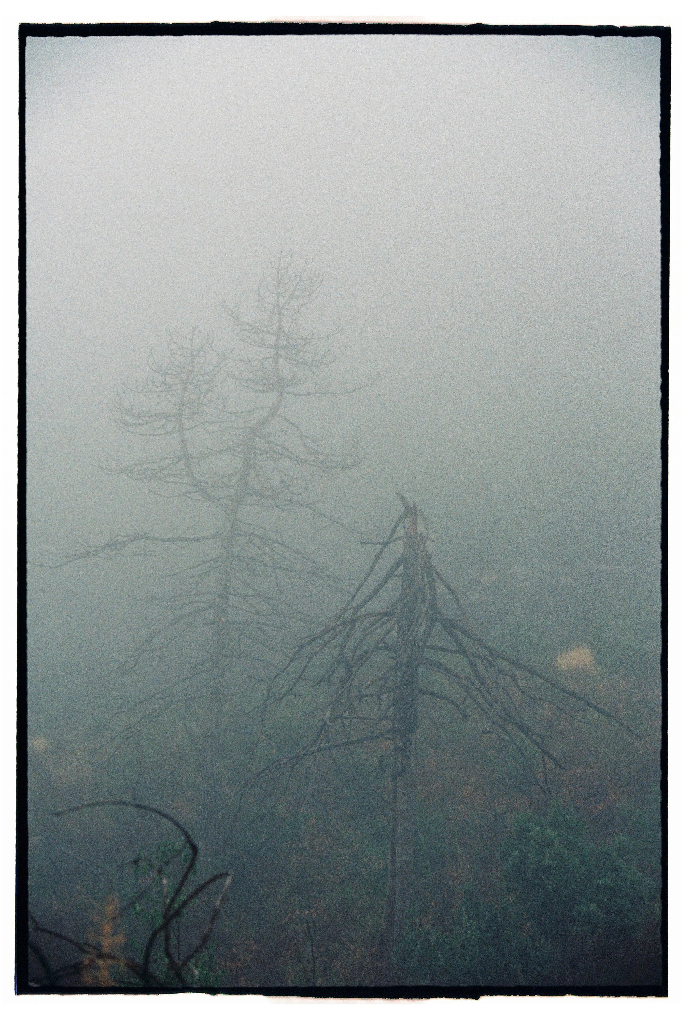 Kristina Malinskaya-60.JPG