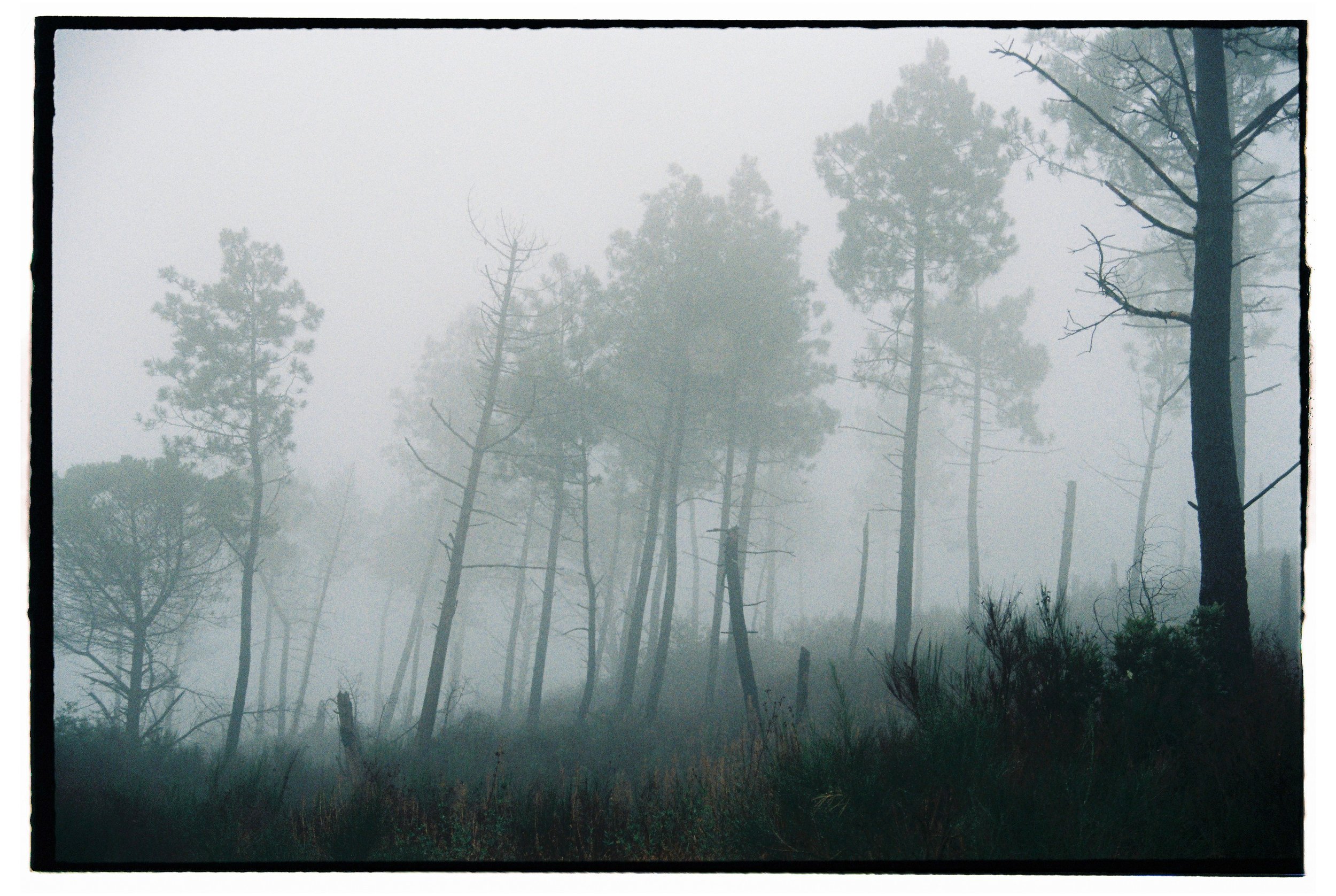 Kristina Malinskaya-62.JPG