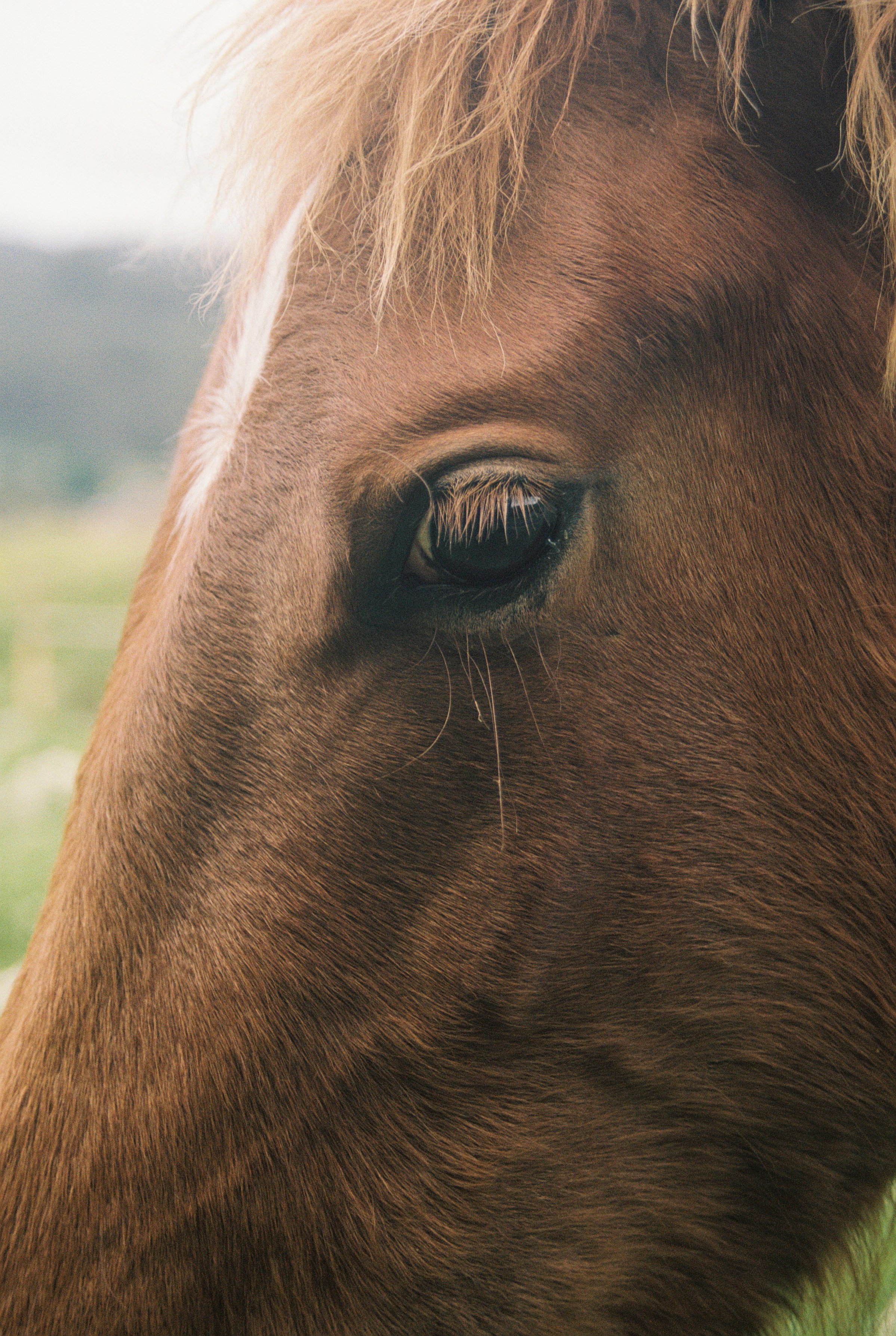 Kristina Malinskaya-31.JPG