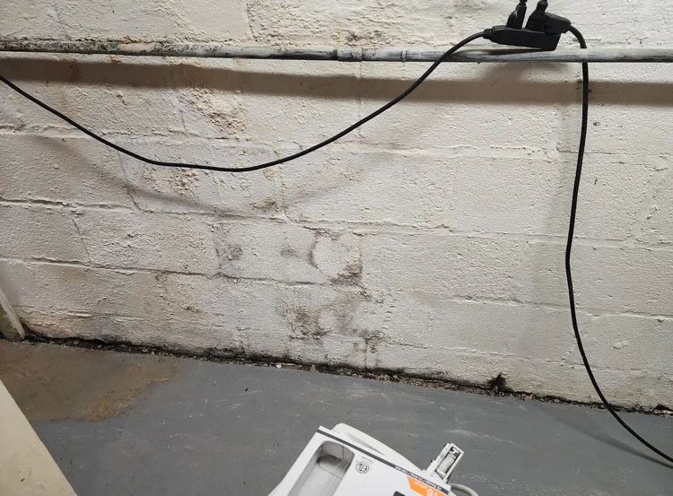 Photo inspiration: Fresh Look at Mold Remediation