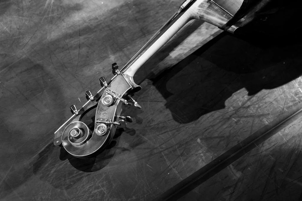 GoodBeats_AtlasPerformingArtCenter(BW)200.jpg