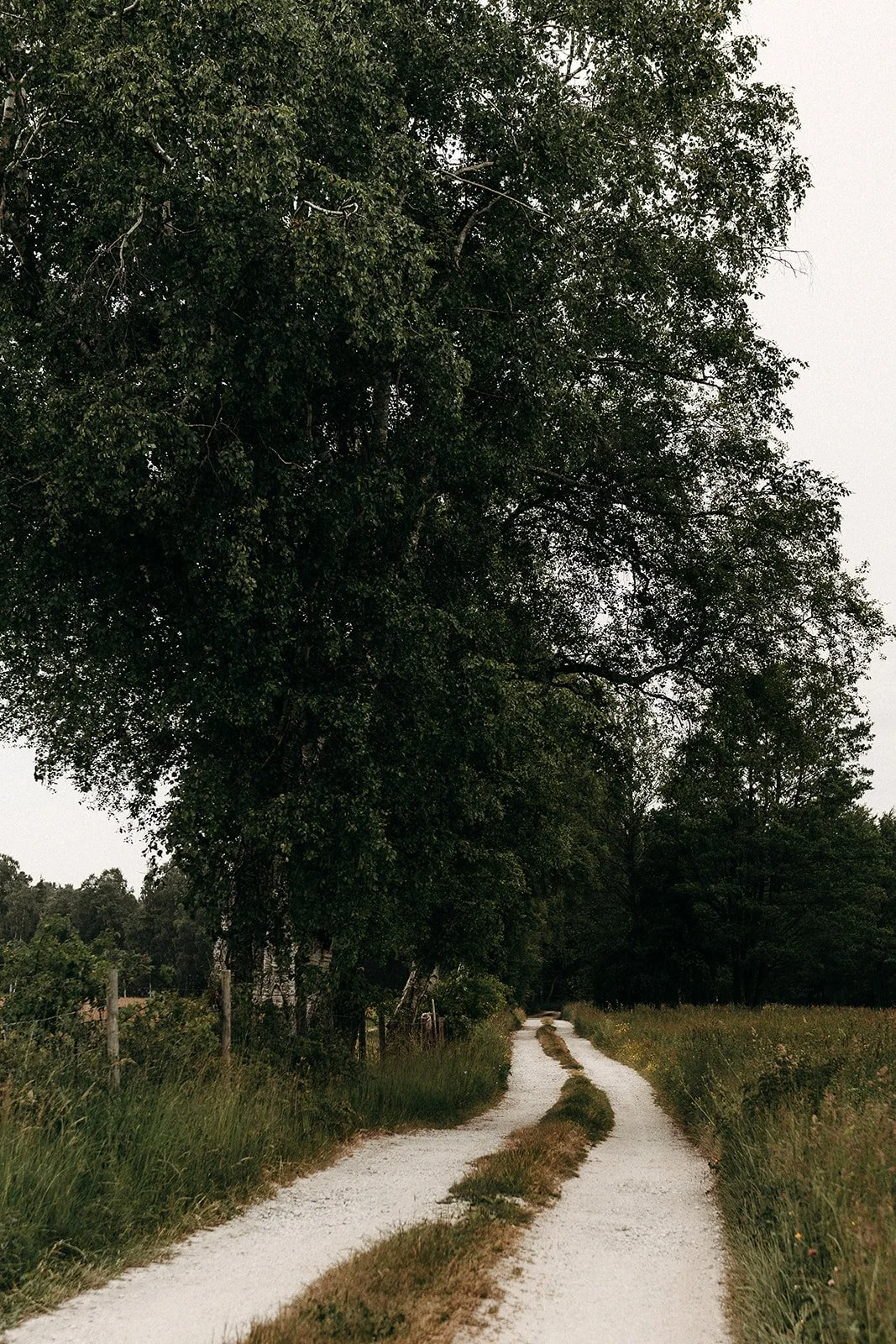 Bröllopsfotograf Liv Darcy Studio Fårö Gotland 