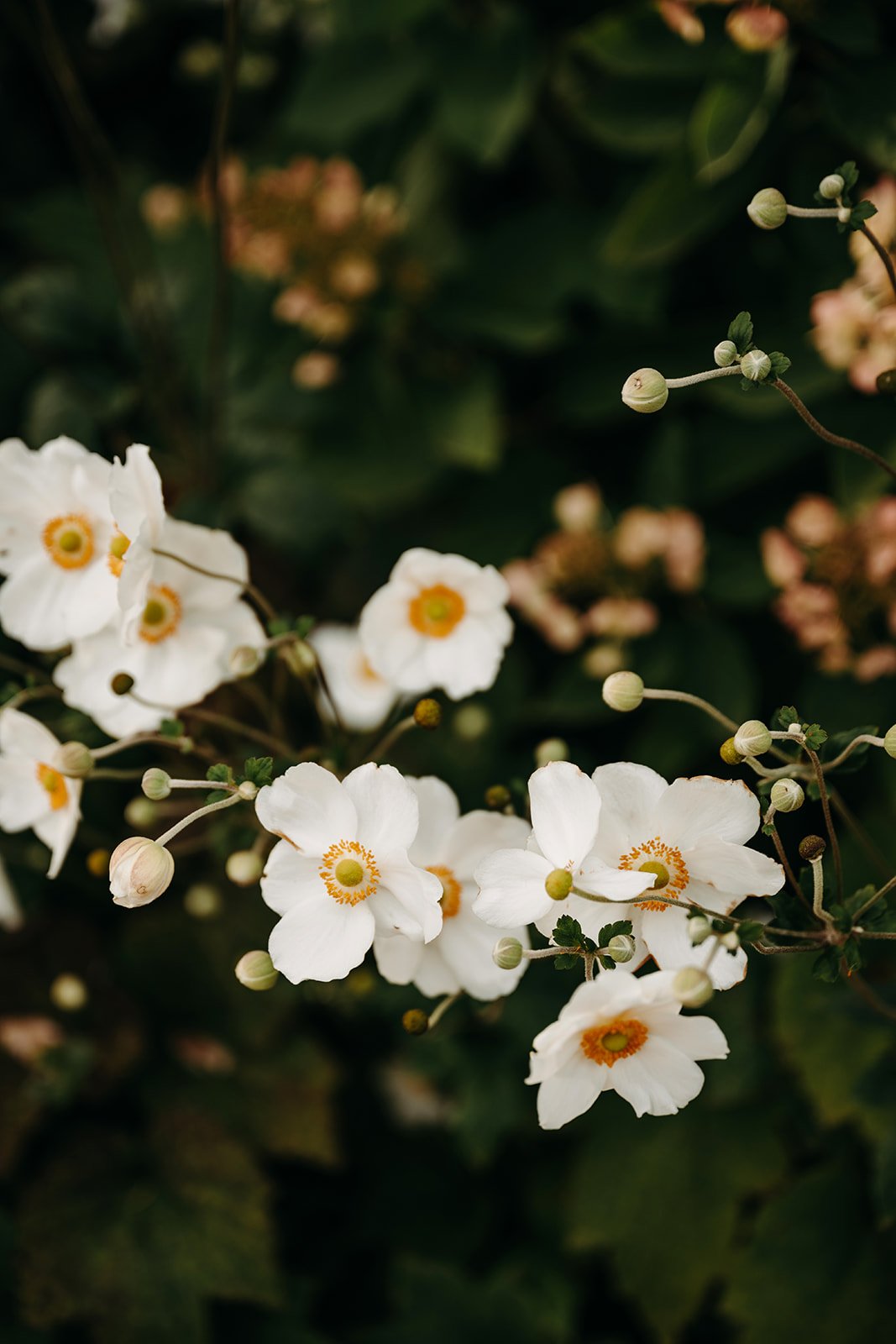 Domaine des Étangs Wedding | Destination Wedding Photographer | Liv Darcy Studio