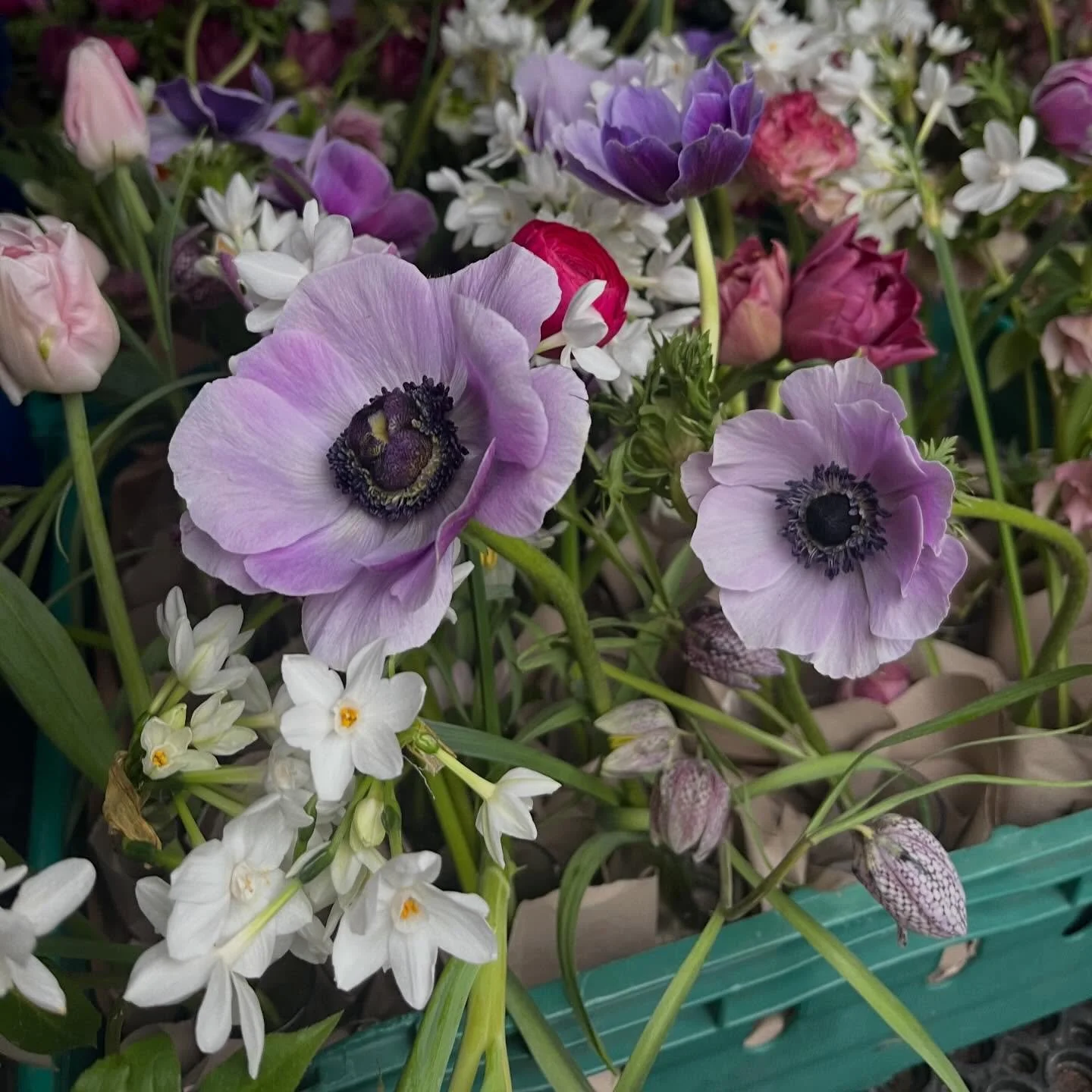 When you choose F.E.R to be a part of your big day, you aren&rsquo;t just booking a service - you&rsquo;re curating an atmosphere. My goal is to ensure every detail resonates with your vision and leaves a lasting impression on your guests.

Ready to 