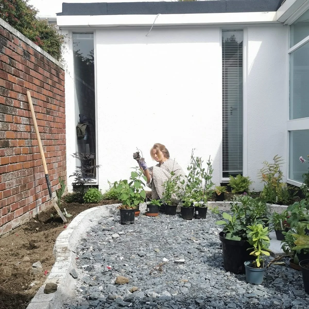 Rooting the &ldquo;Why&rdquo; in the soil.

Swipe through, and you&rsquo;ll see the evolution of this small Dublin courtyard - from a blank canvas to the heart of my inspiration.
This transformation wasn&rsquo;t a solo journey. With the expert vision