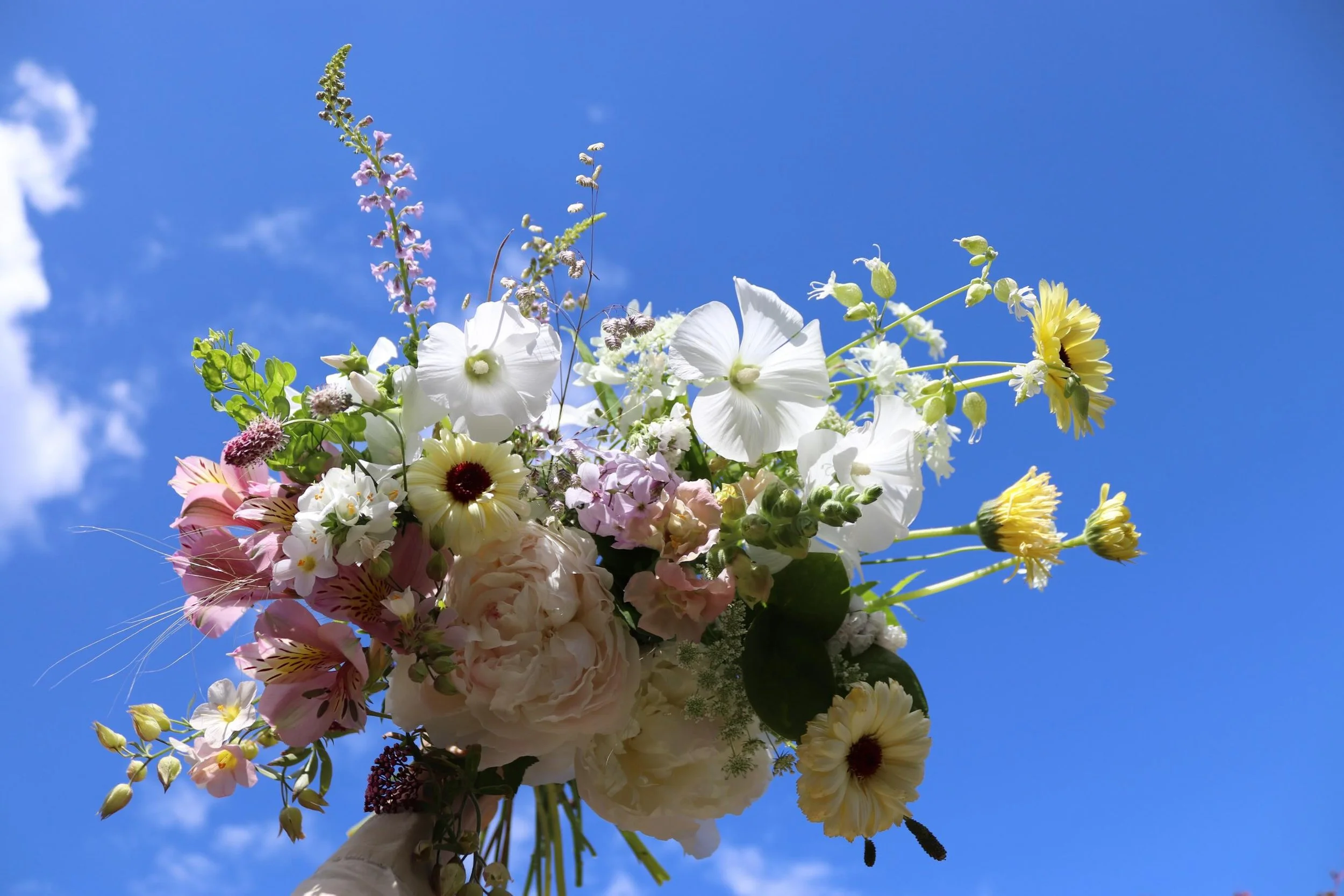 Early June with F.E.R

This romantic bridal bouquet was designed with exclusively Irish grown blooms.

It was wonderful to connect with the incredible growers behind these exquisite flowers at Bloom this weekend.

#ferfloristry #flowerfarmersofirelan
