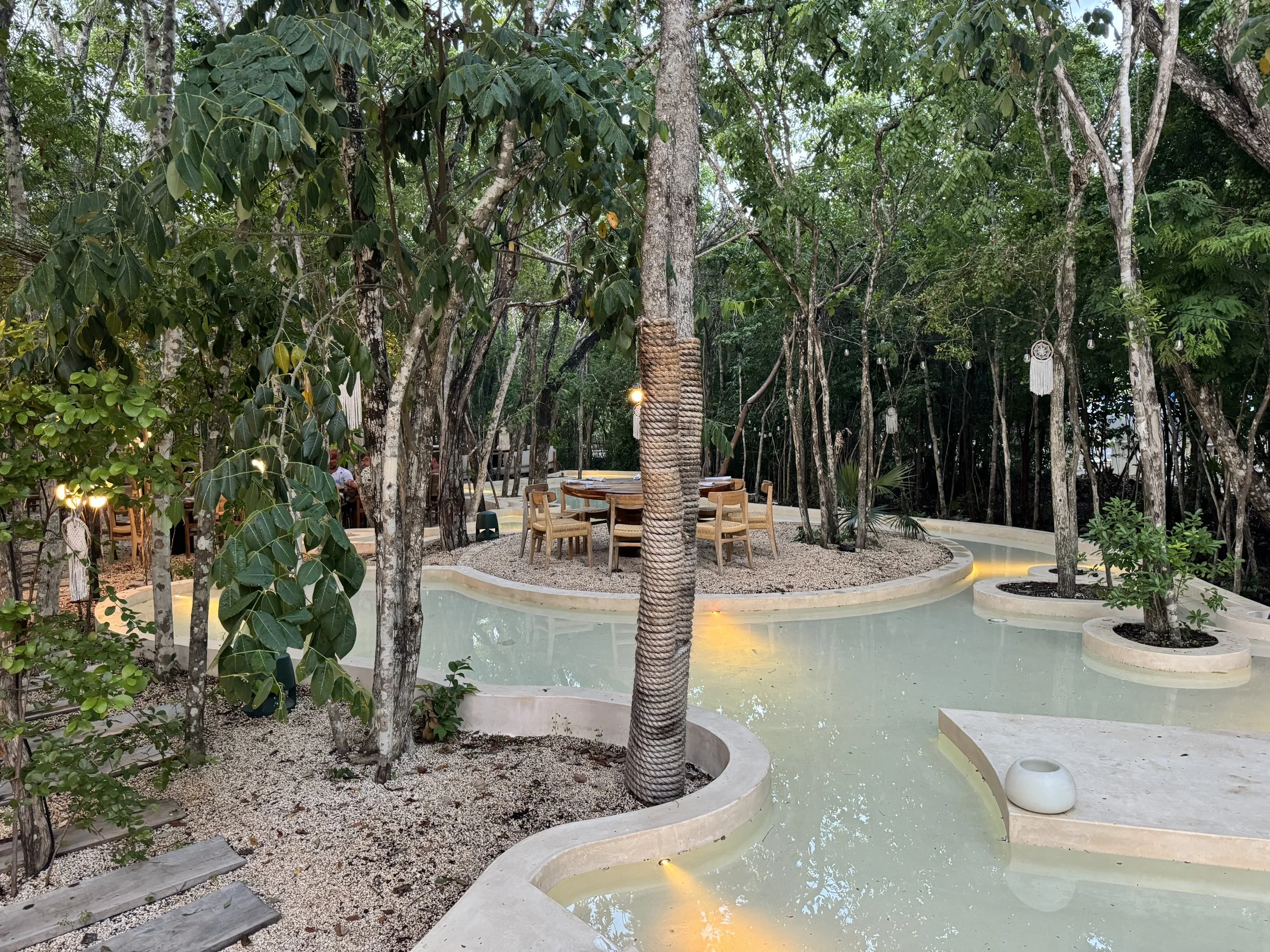 IMG_5550.jpeg