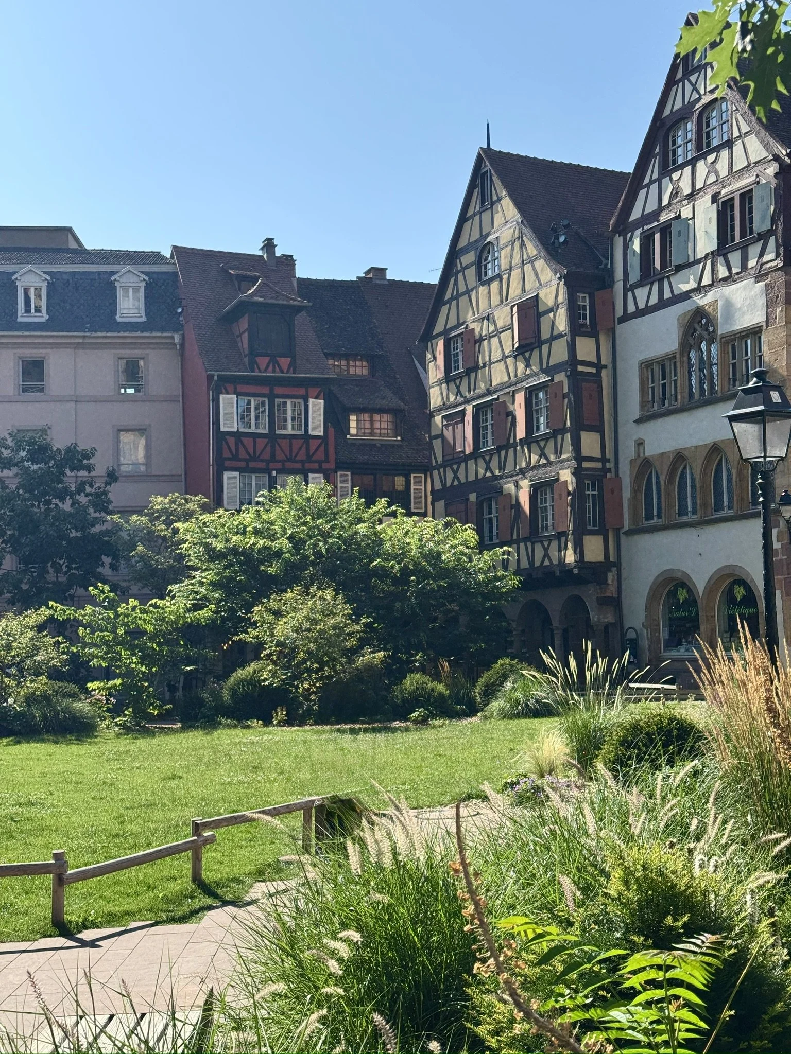 Colmar3 (1).jpeg