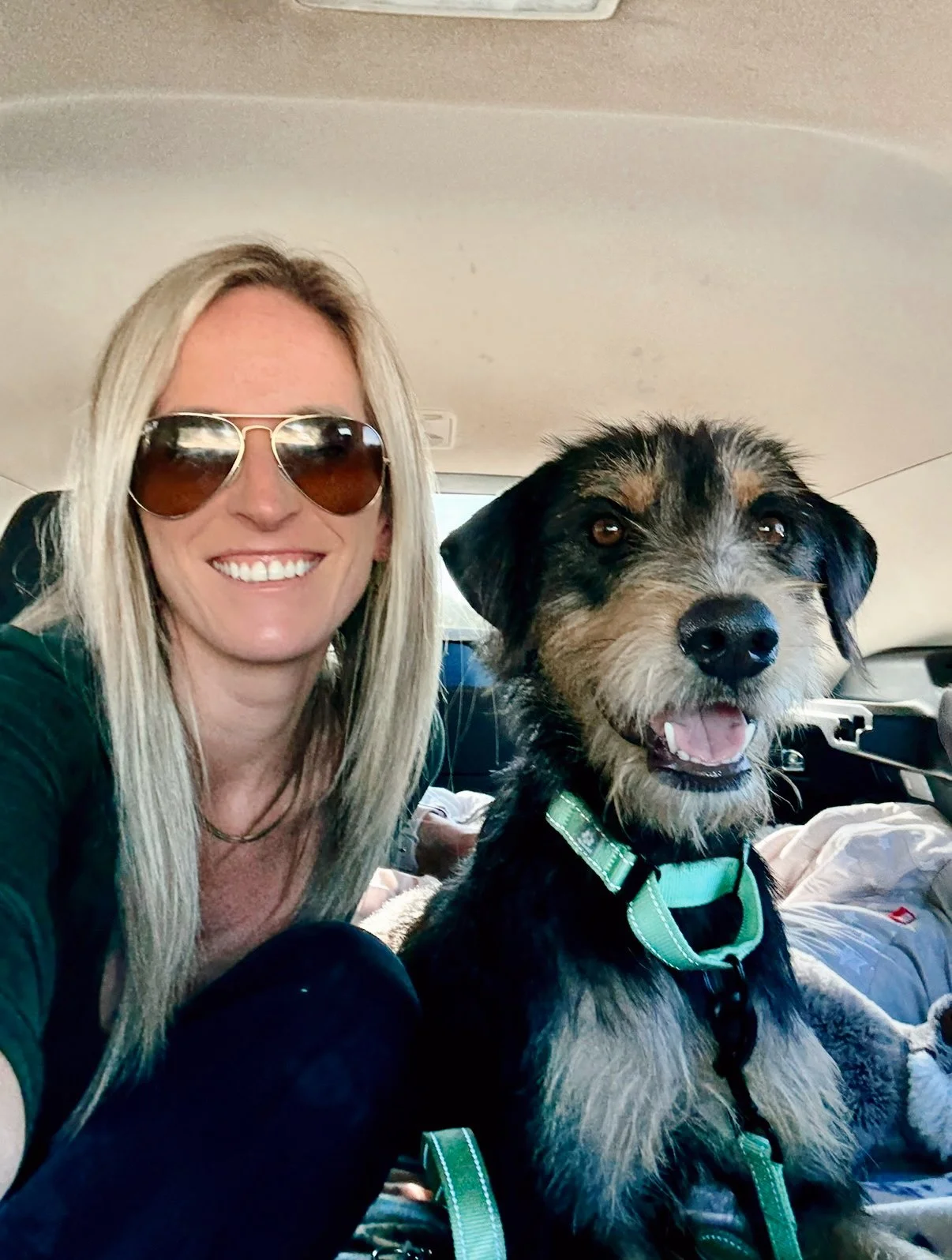 Vacation With a Purpose: How Your Trip to Aruba Can Save a Dog’s Life