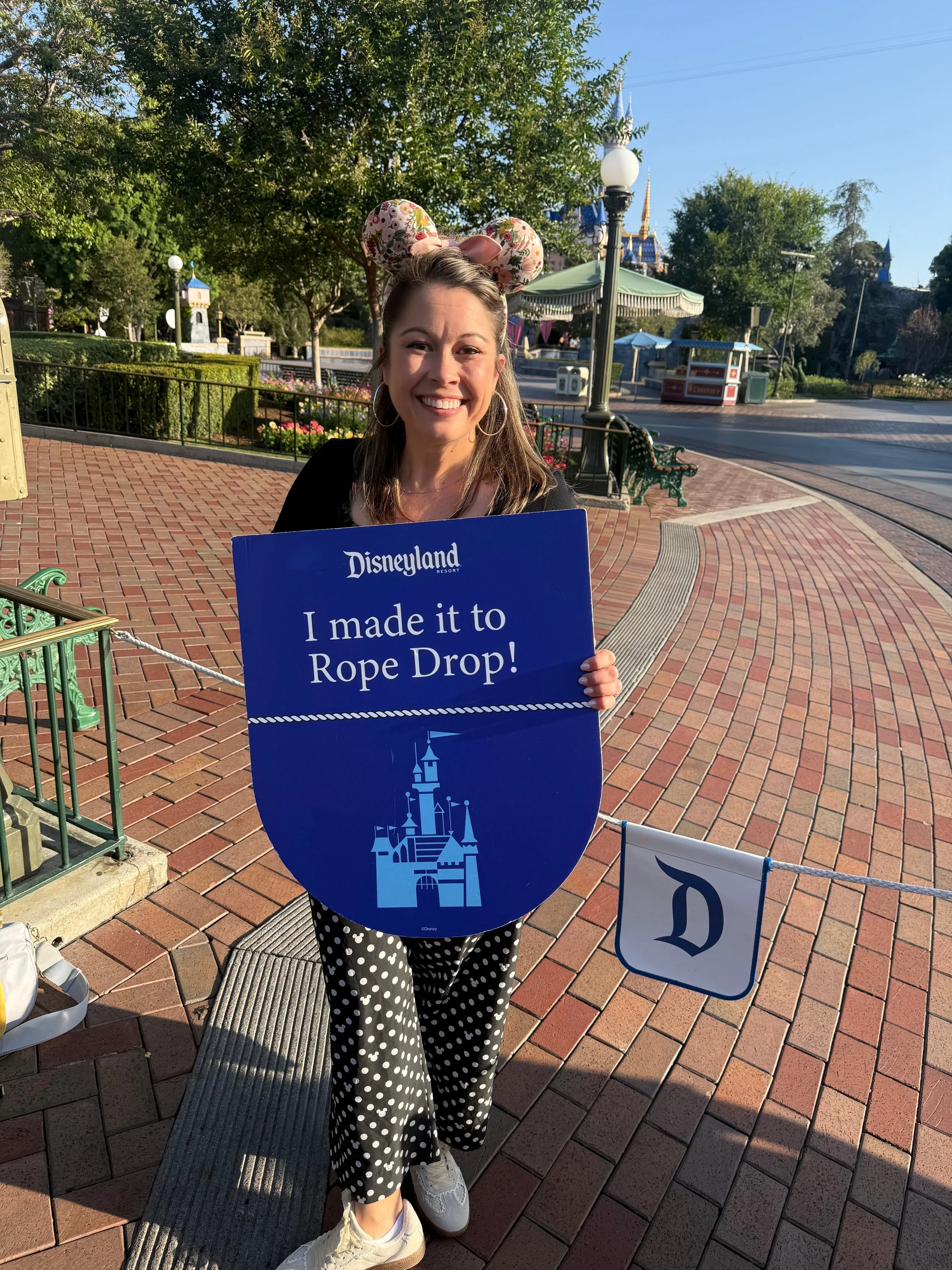 Disneyland4.jpeg