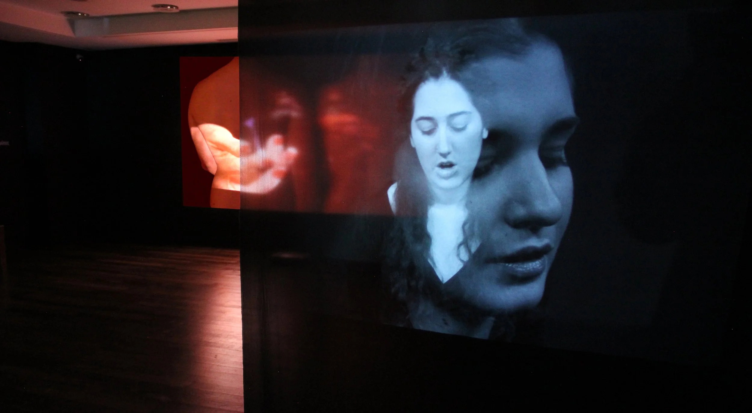 Entopic Diaries-Installation View-2.jpg