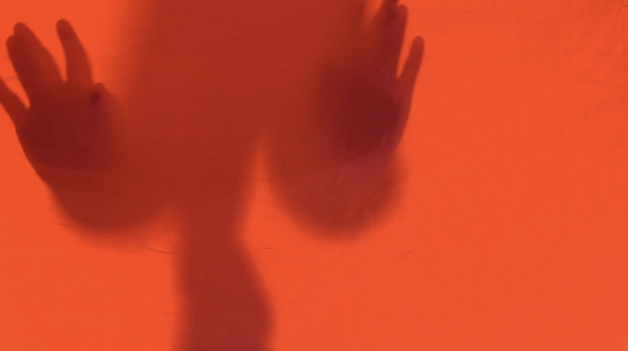 Entopic Diaries: Geography of Home