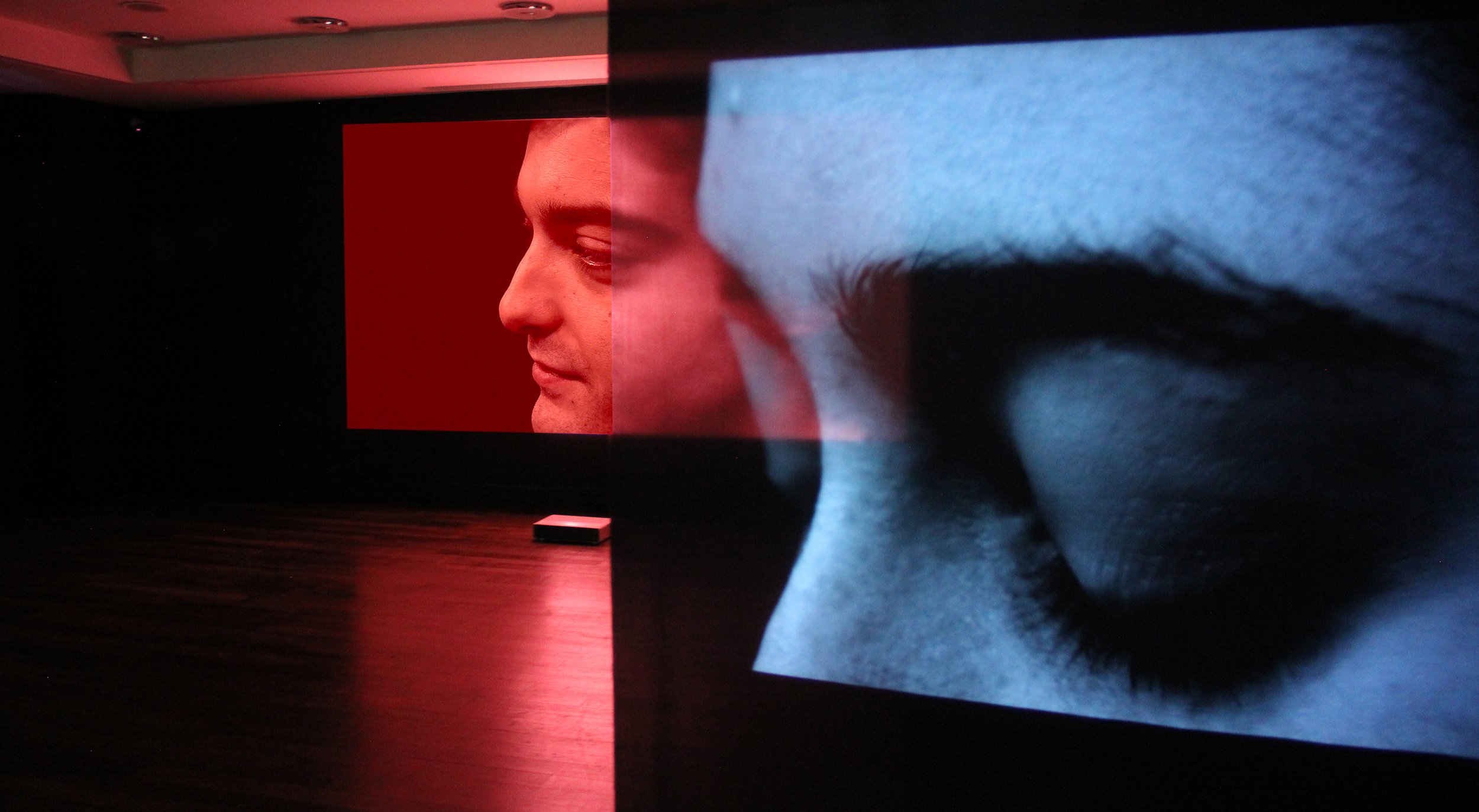 Entopic Diaries-Installation View-3.jpg