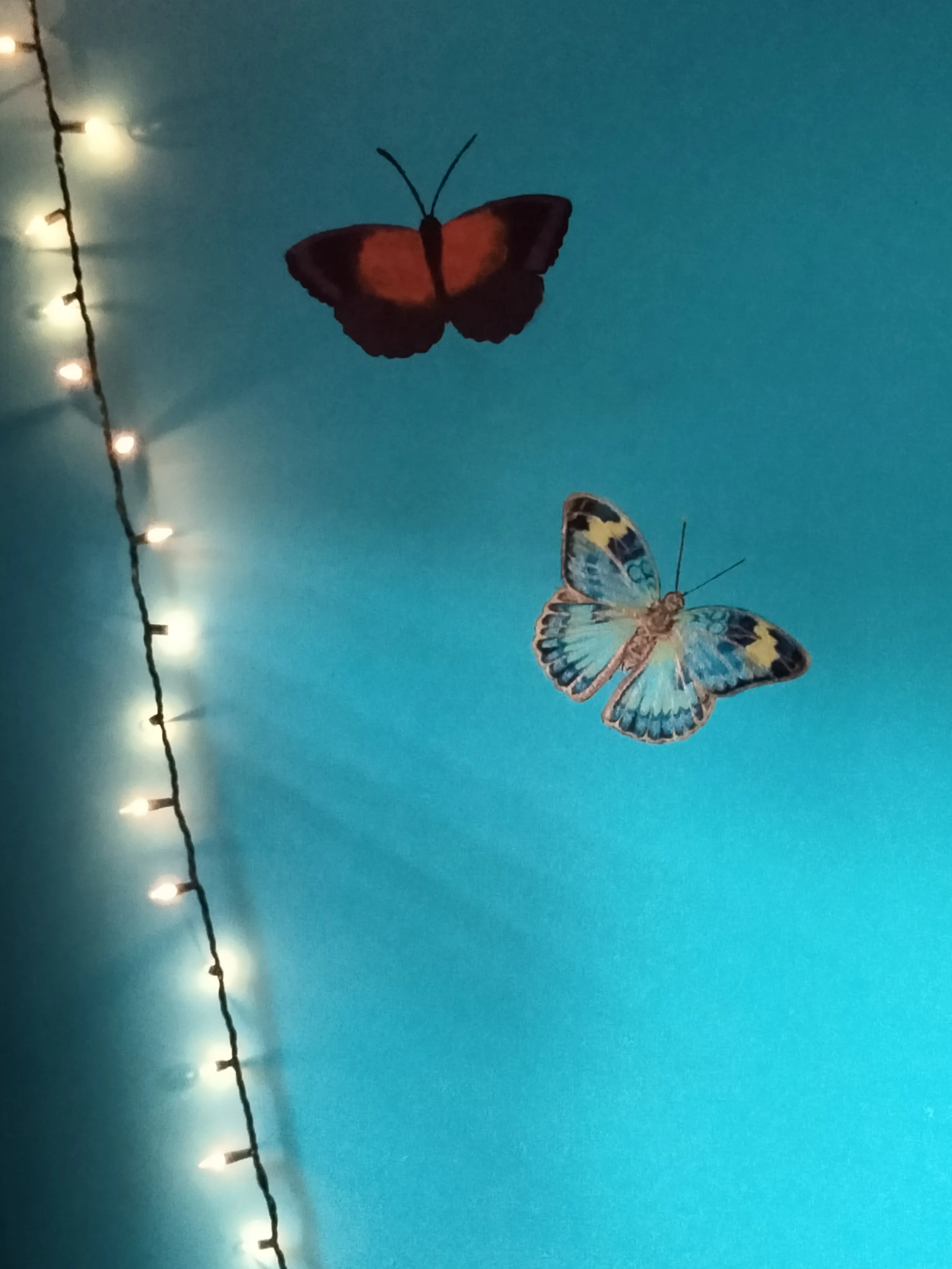 IMG20220817091808 - Bella Fried.jpg