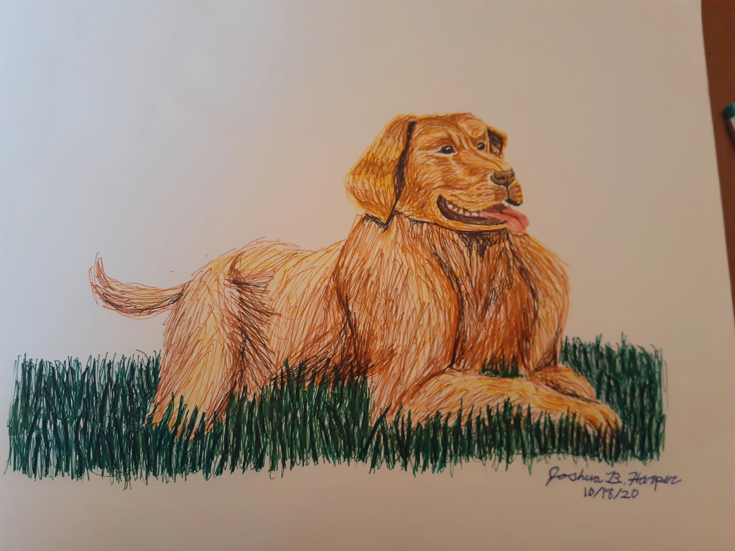 20201018_163838 - Josh Harper.jpg