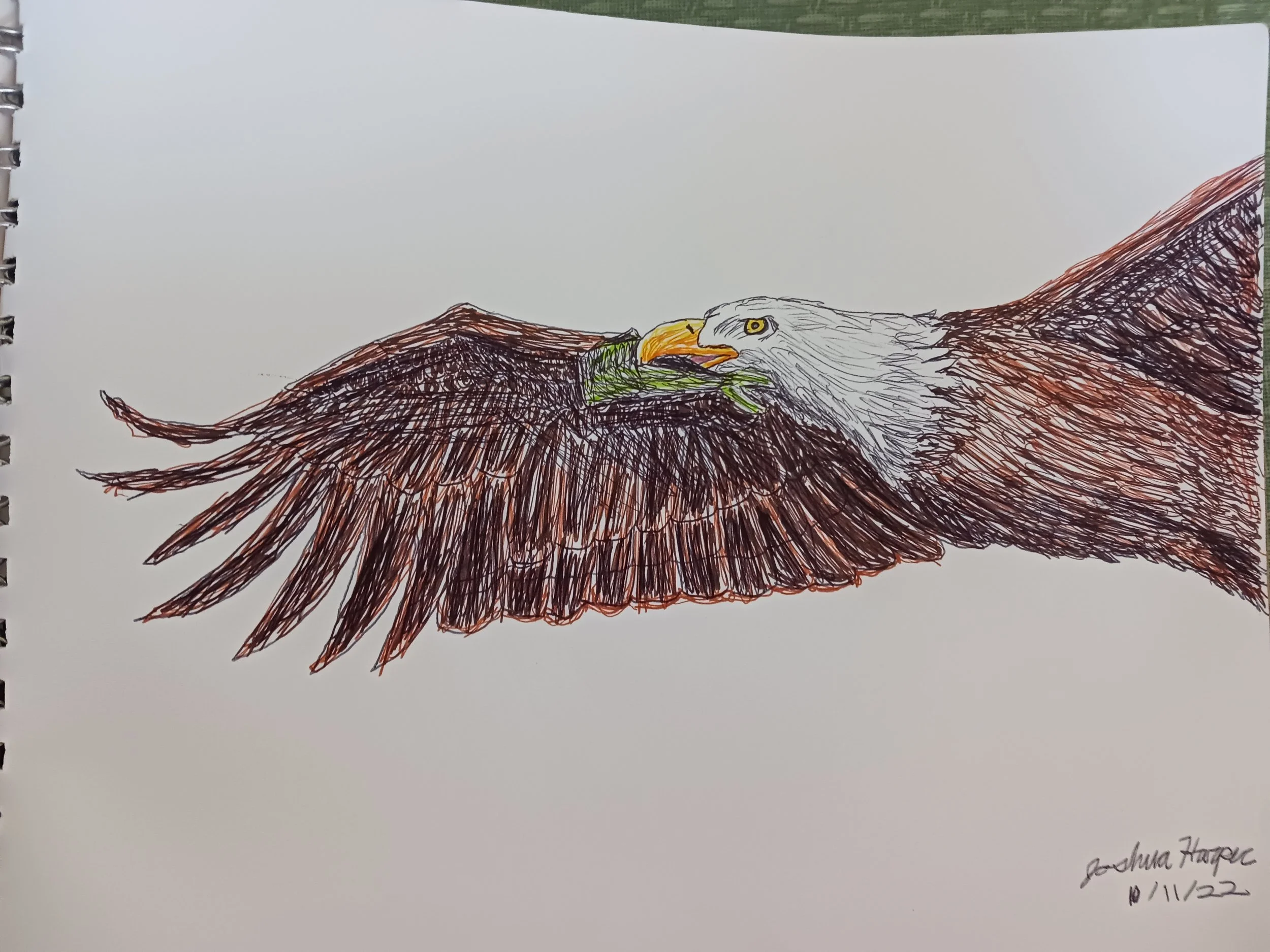 20221011_095824 - Josh Harper.jpg