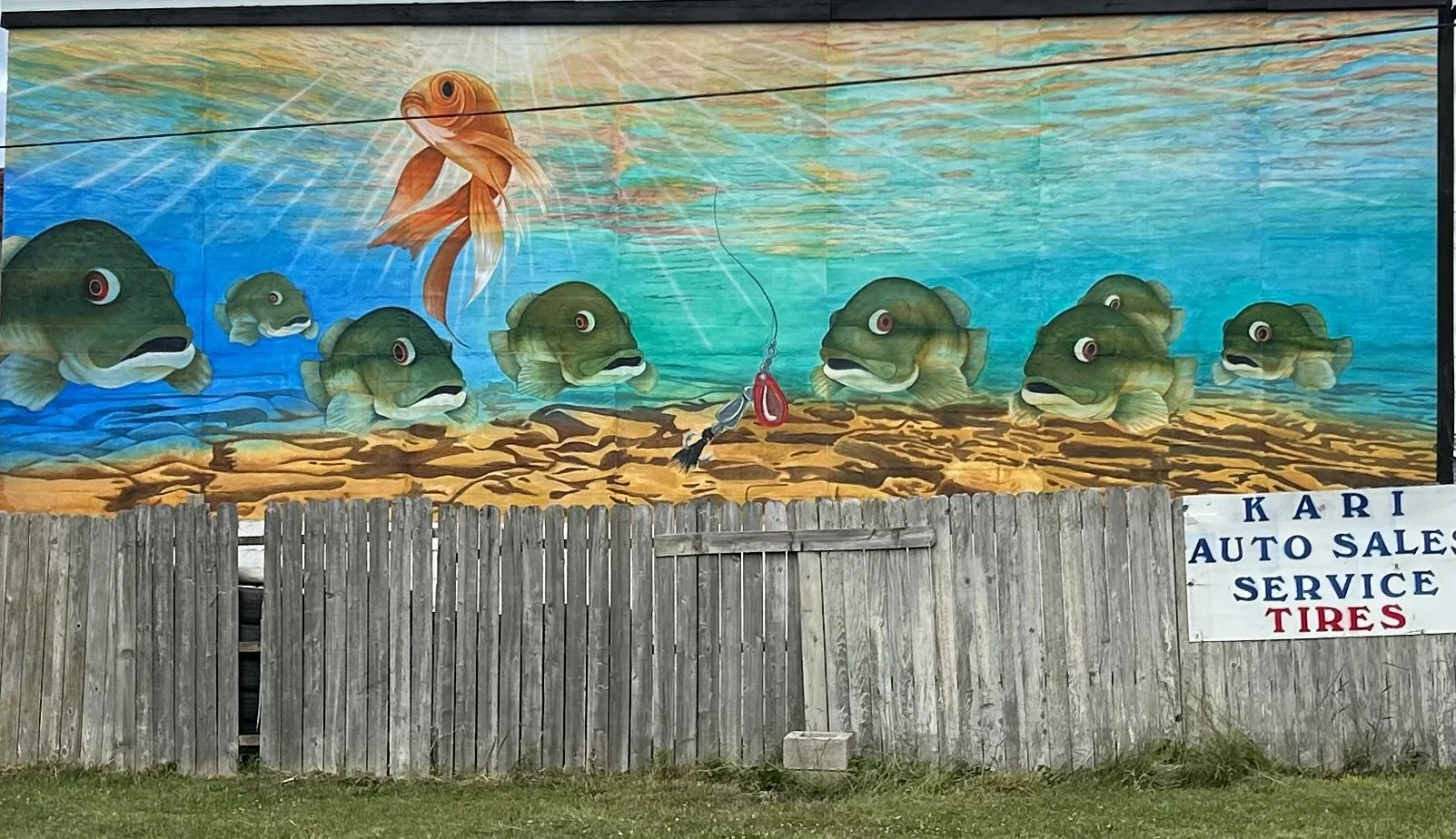 IMG_6567 - Steve Mik.jpeg