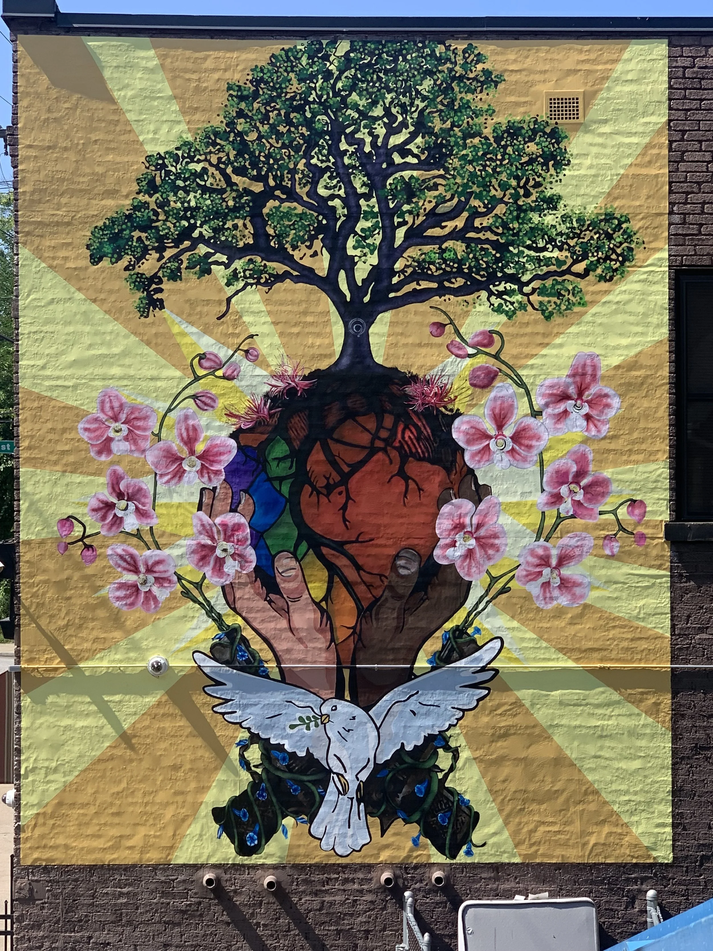 IMG_5586 - Steve Mik.jpeg