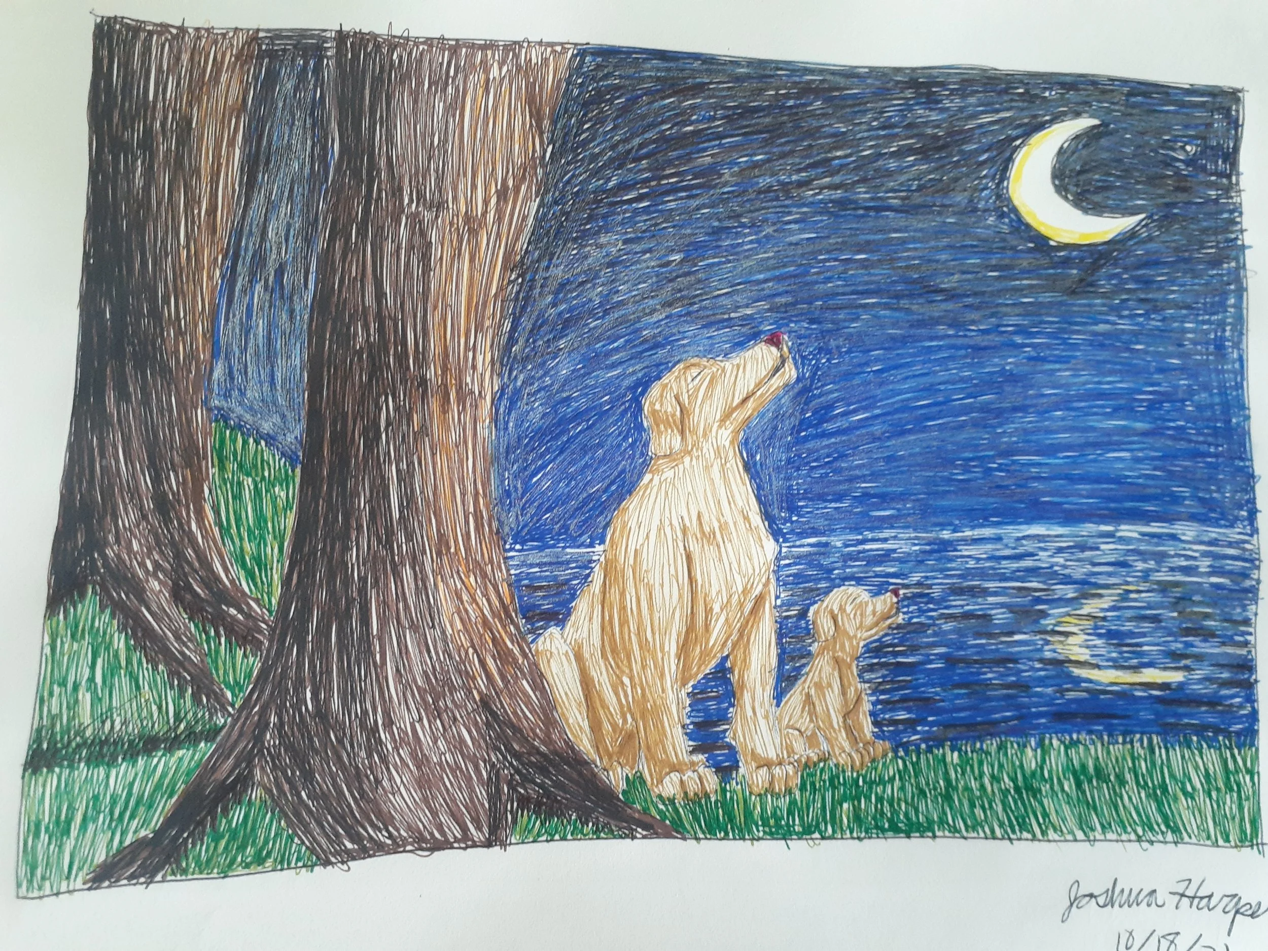 20211018_122837 - Josh Harper.jpg