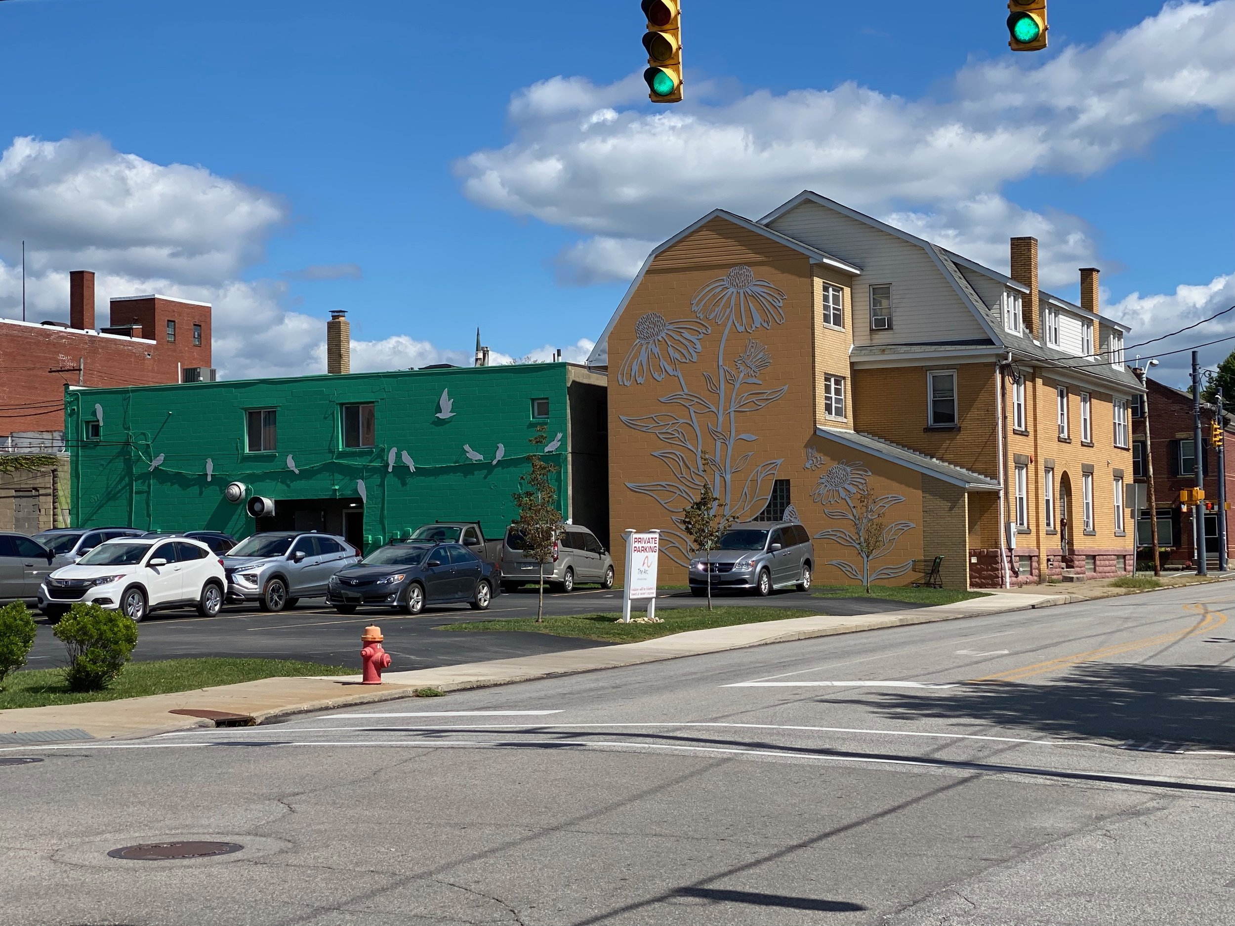 1. Geffen-Bloom + Birds_GreenspaceIMG_2186.jpeg